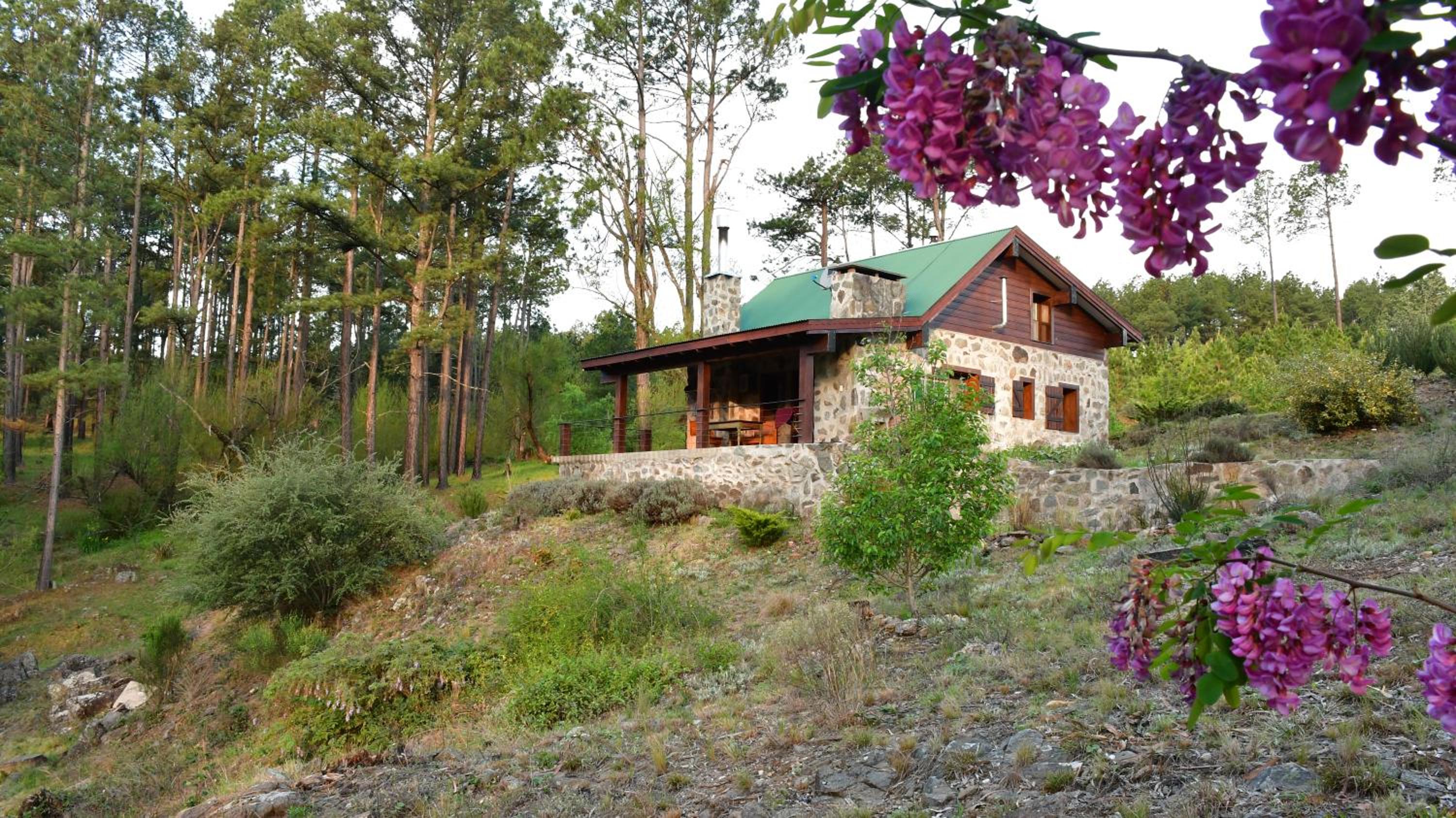 Cabaña villa alpina Mantillo de bosque