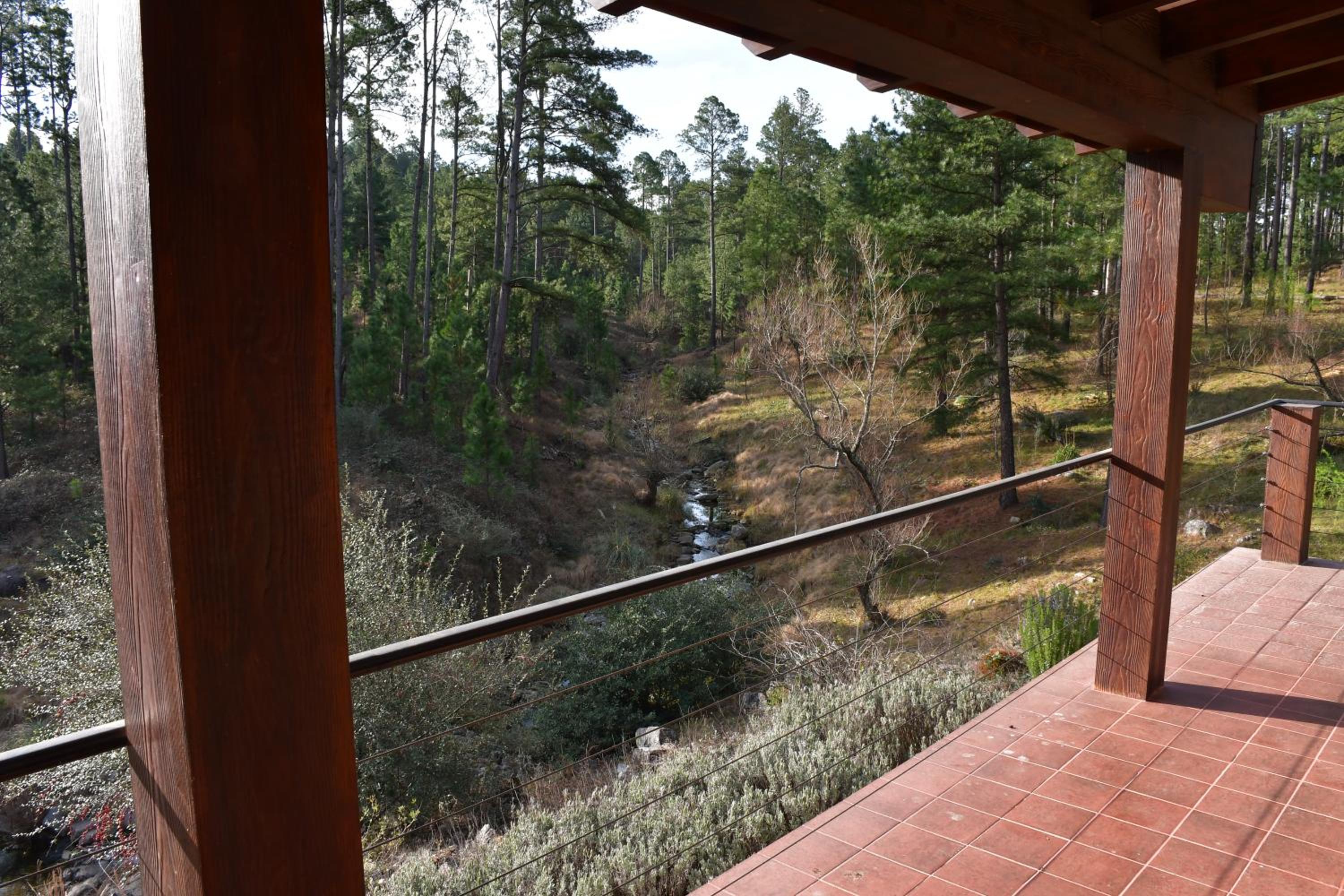Cabaña villa alpina Mantillo de bosque