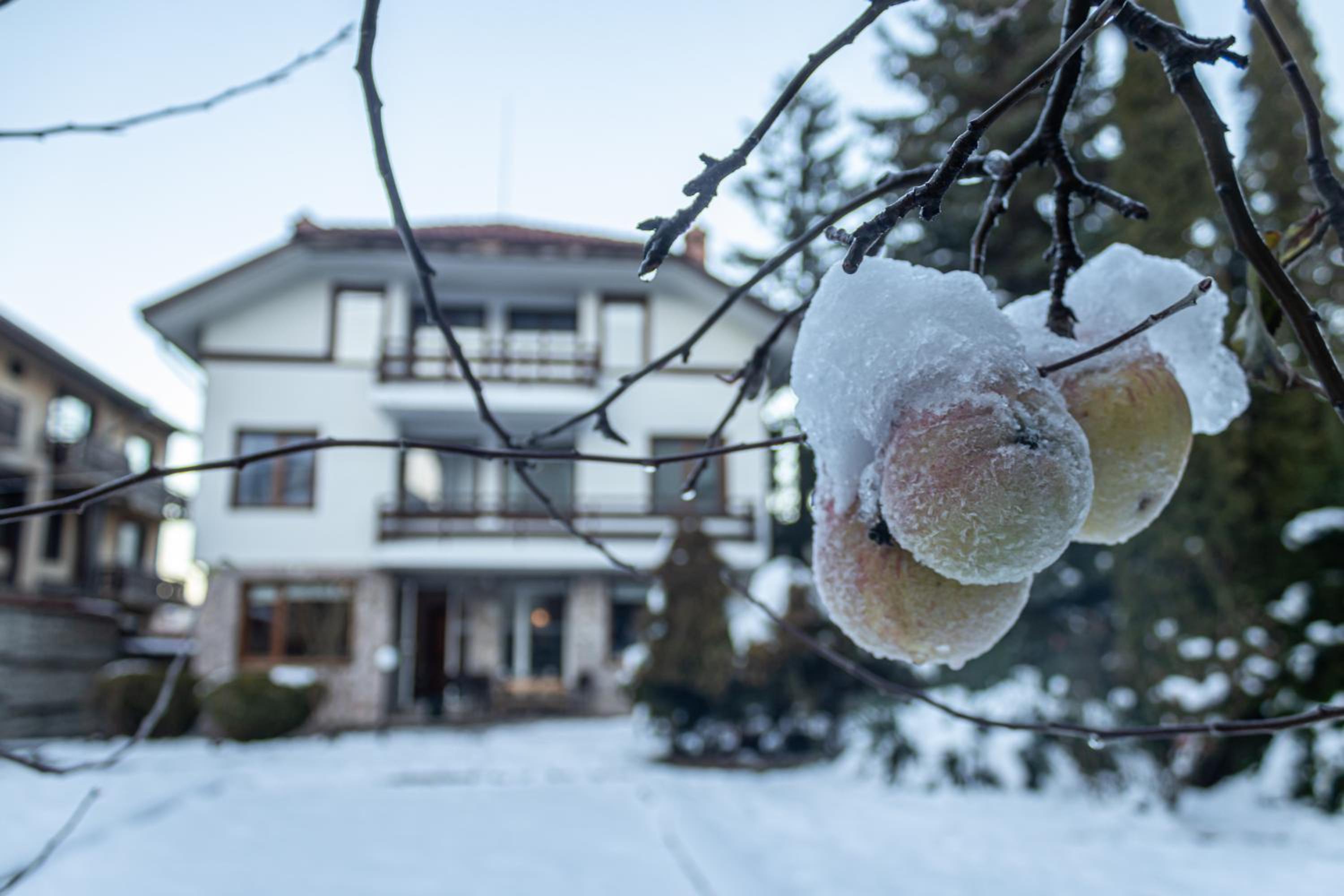 Eight Rooms Bansko