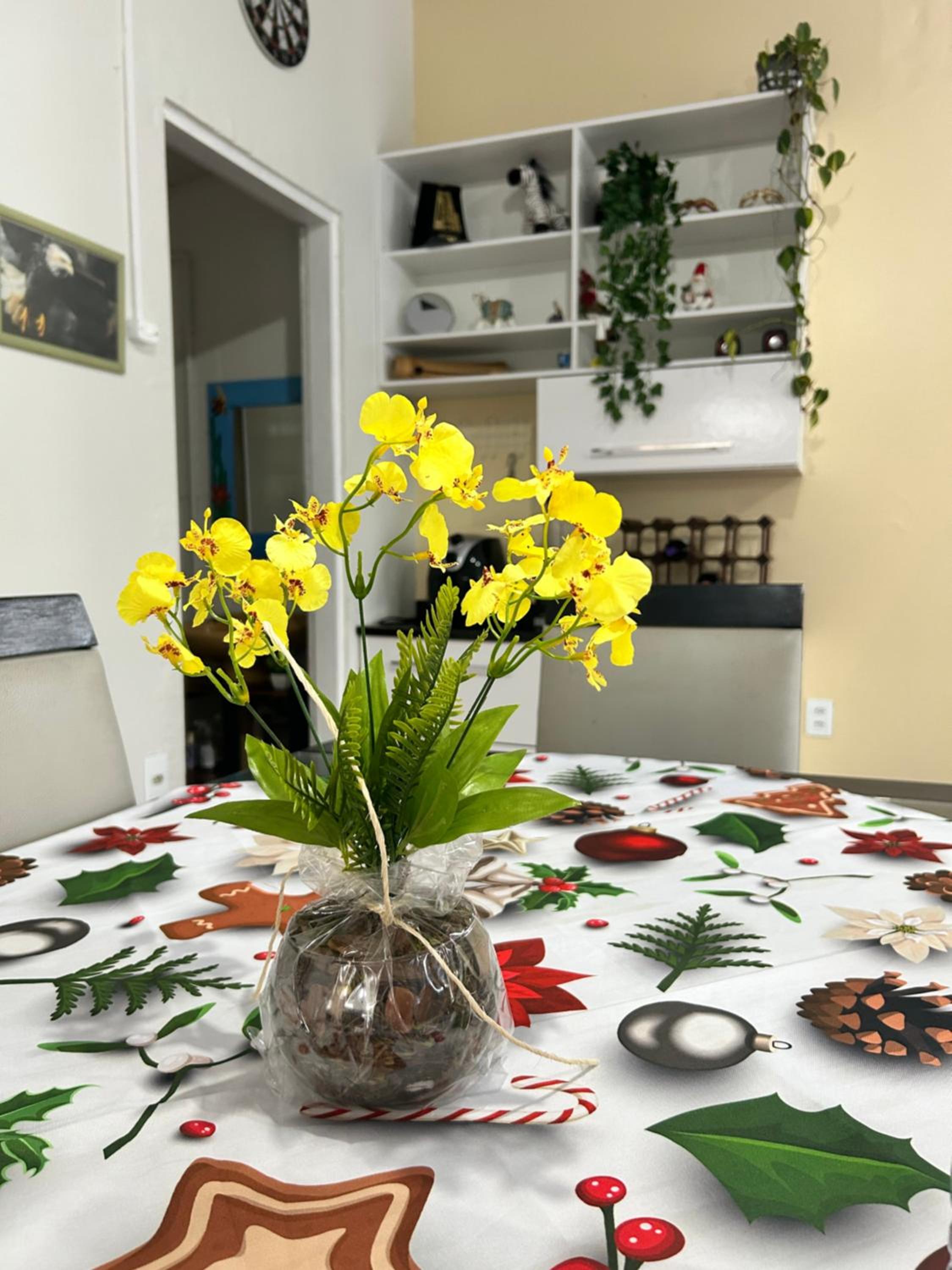 Casa Lagoa Floripa