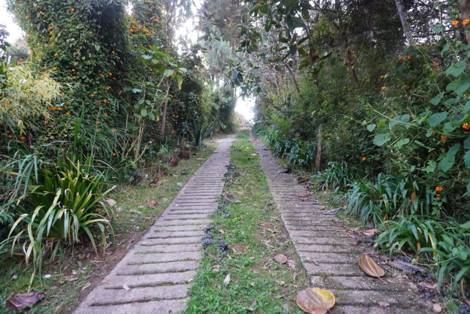 Hospedaje campestre - Cabaña Aru