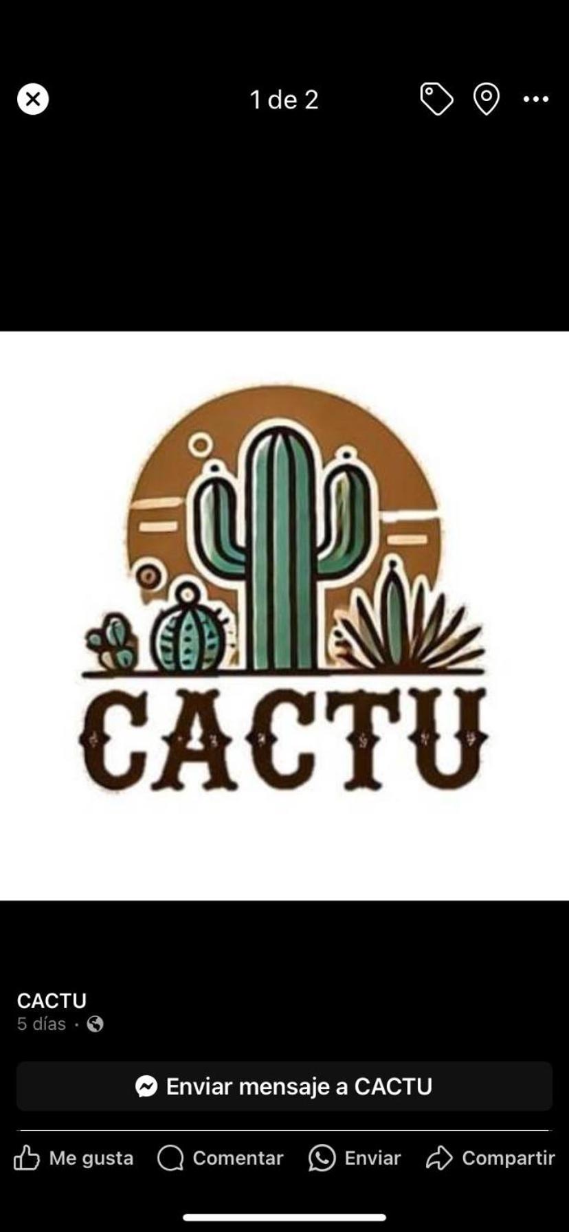 Cactu