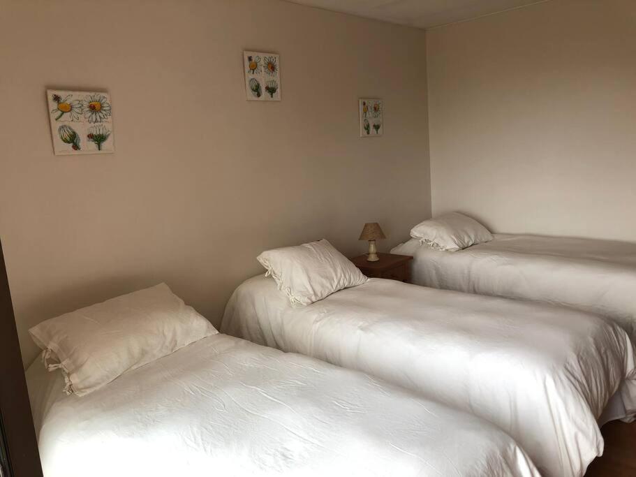 Departamento Las Tacas