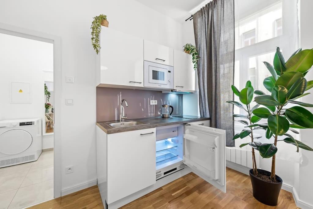Boho Brand New Studio