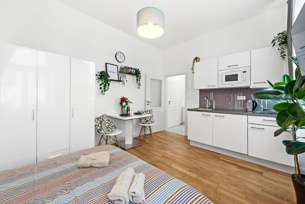 Boho Brand New Studio