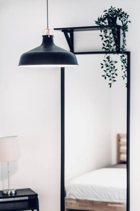 Charming 2 BD condo griffintown