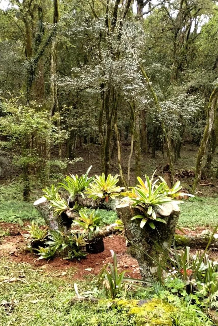 Quintal do Garnizé - Unidade João de Barro
