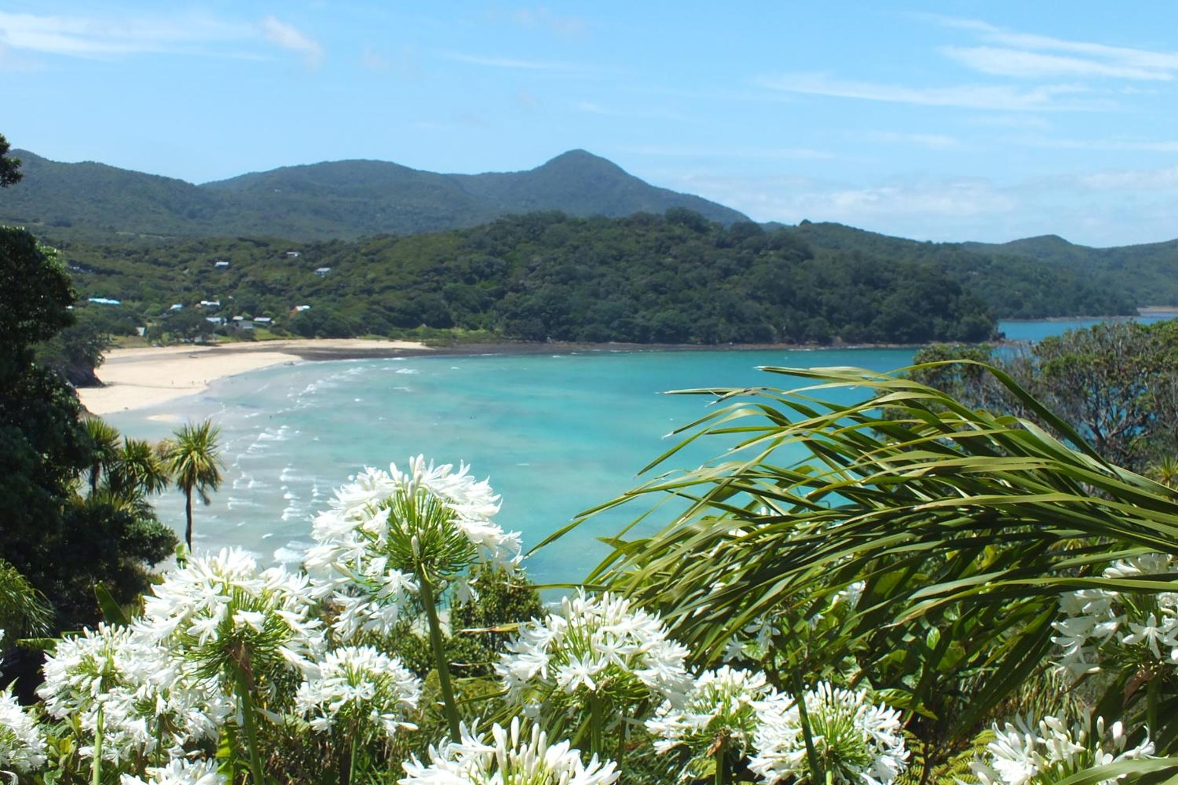 Fantasy Island - private seaview cabins