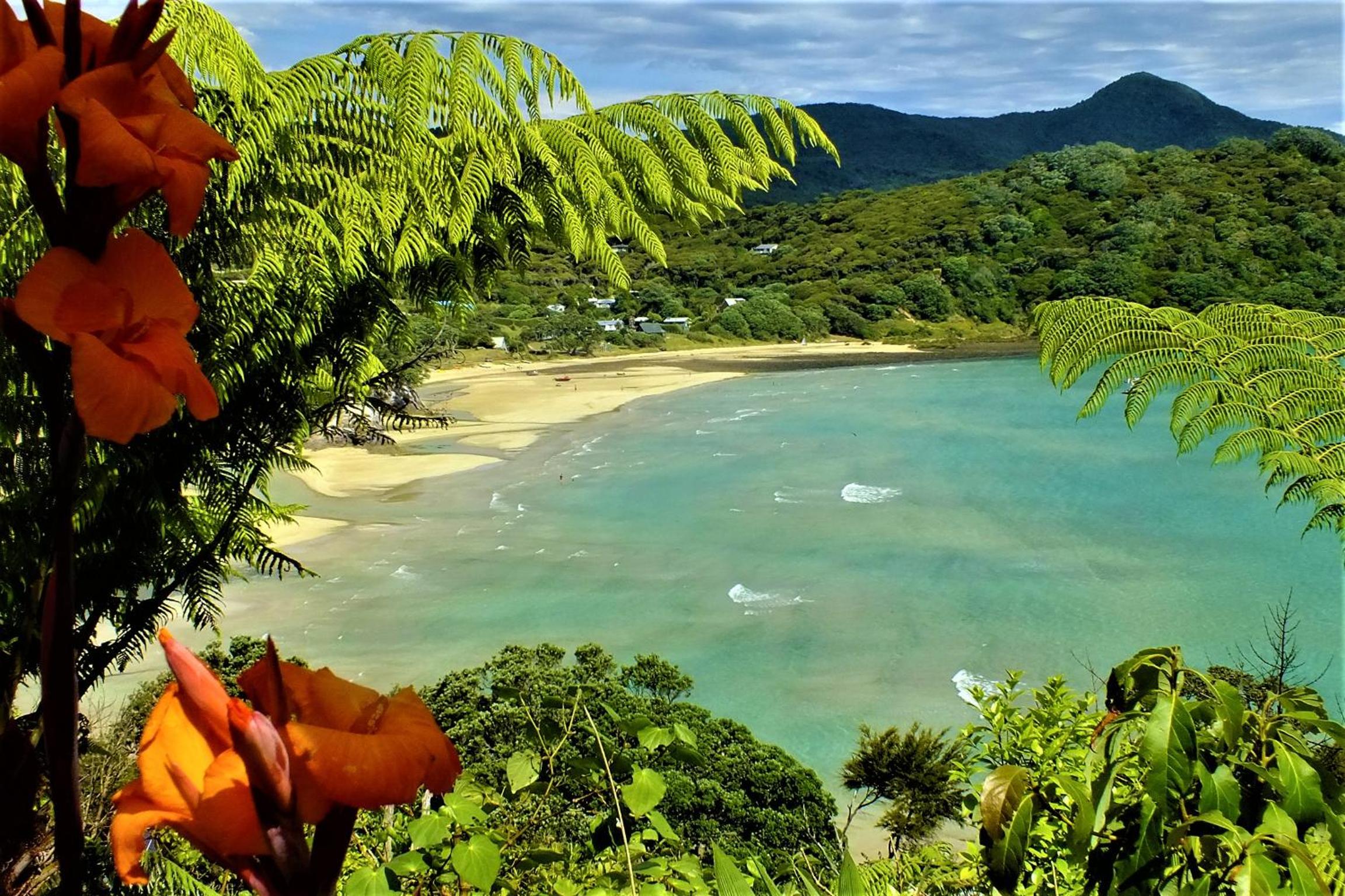 Fantasy Island - private seaview cabins