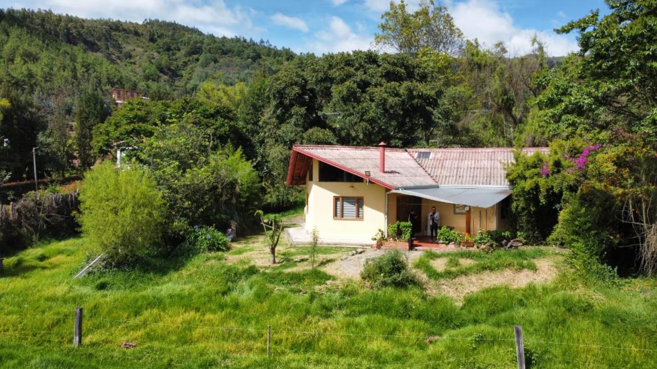 Cabañas Ecotrébol