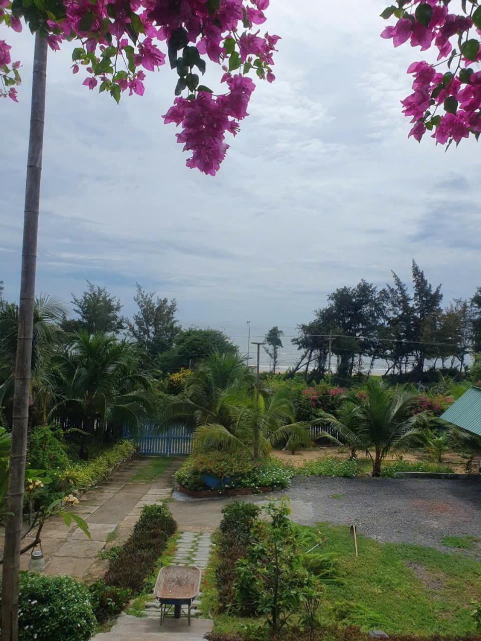 House on the hyll view 4