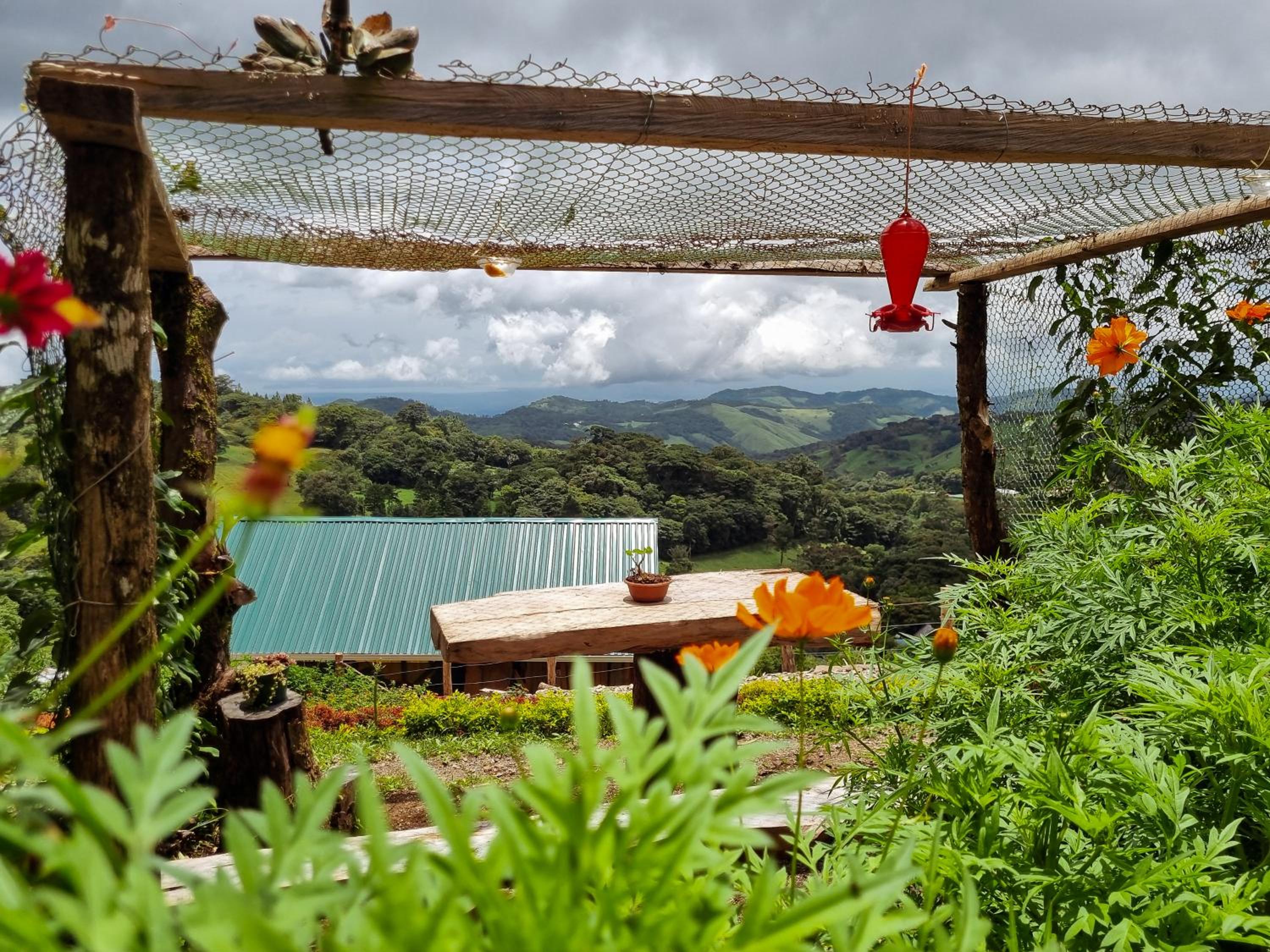 House in the Clouds Monteverde