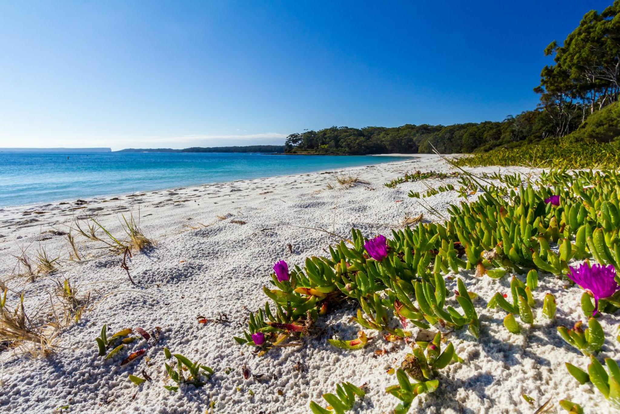 Bay and Bush Jervis Bay - Nature Retreat