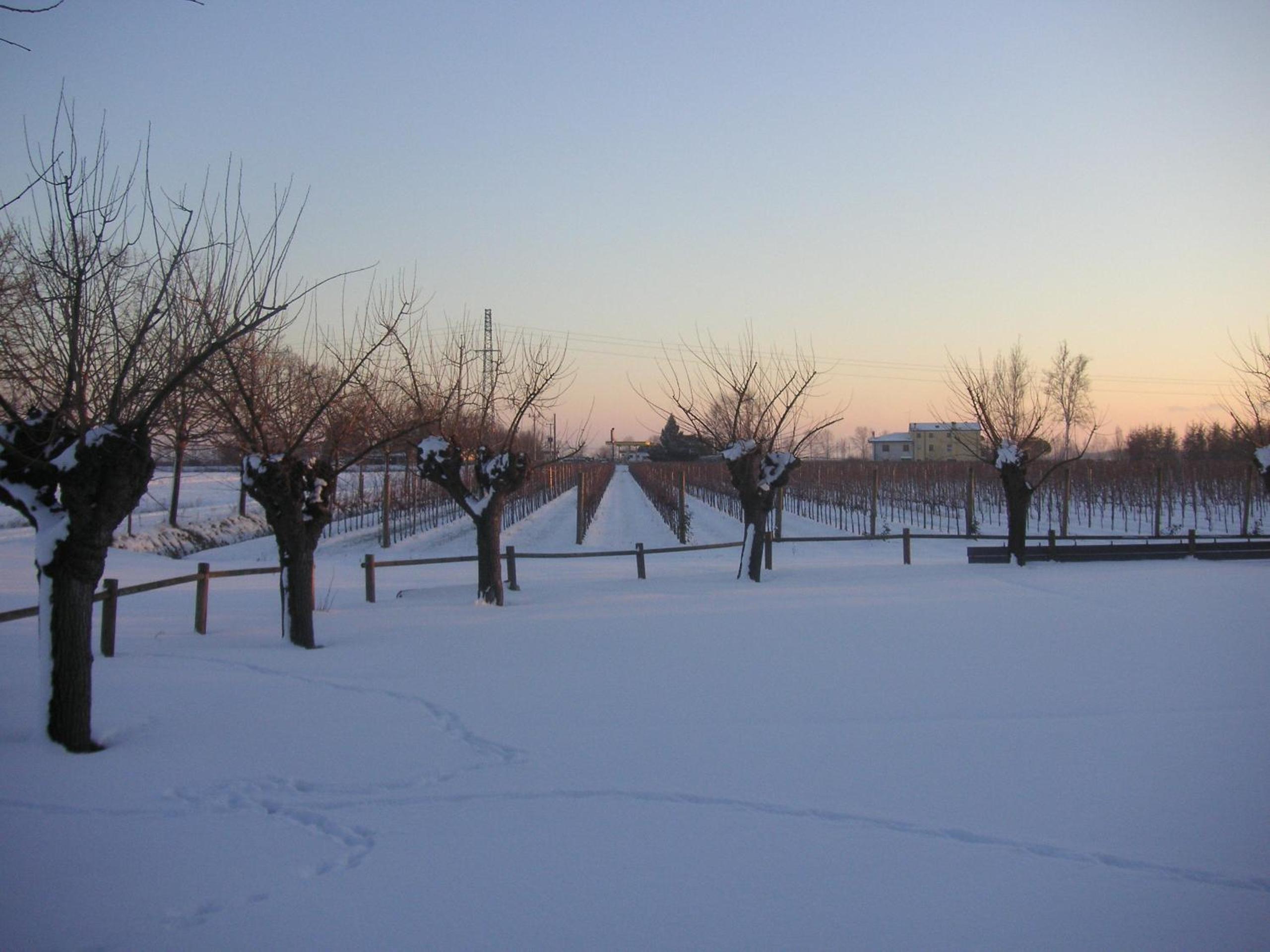 Agriturismo Albafiorita