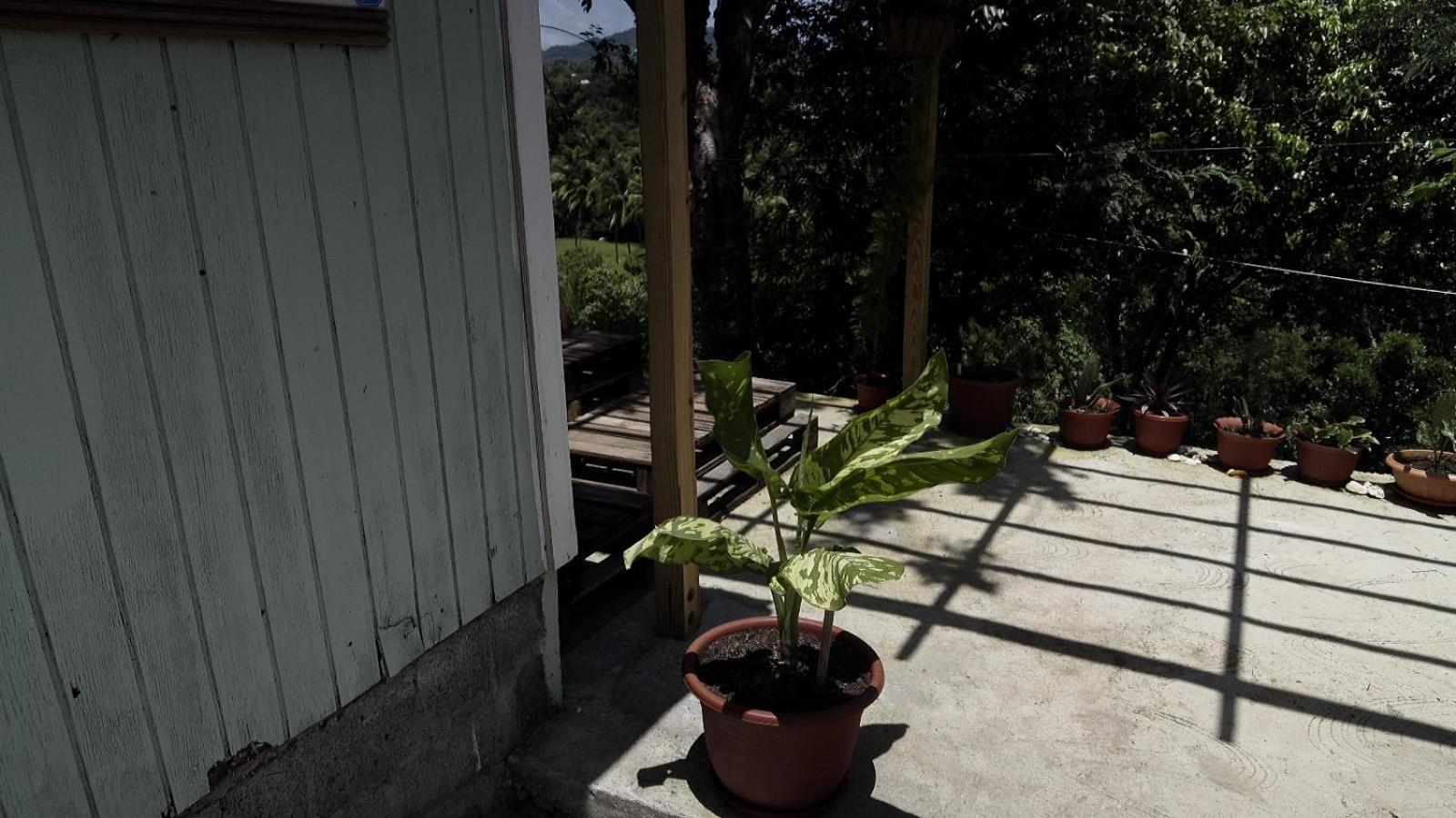 Photo 21