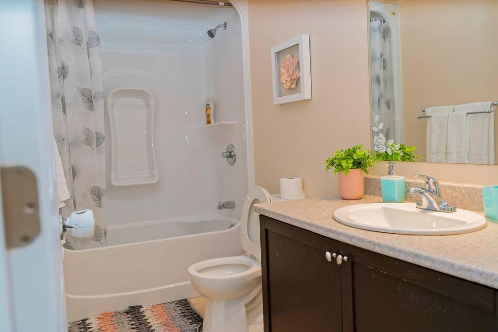 Spacious, Idyllic 3 Bedroom Home
