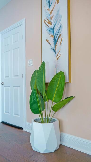 Spacious, Idyllic 3 Bedroom Home