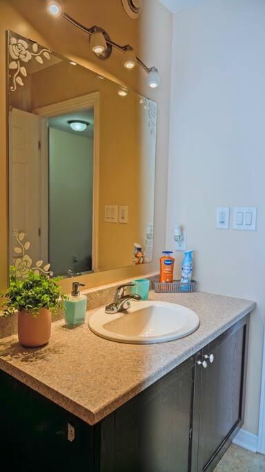 Spacious, Idyllic 3 Bedroom Home