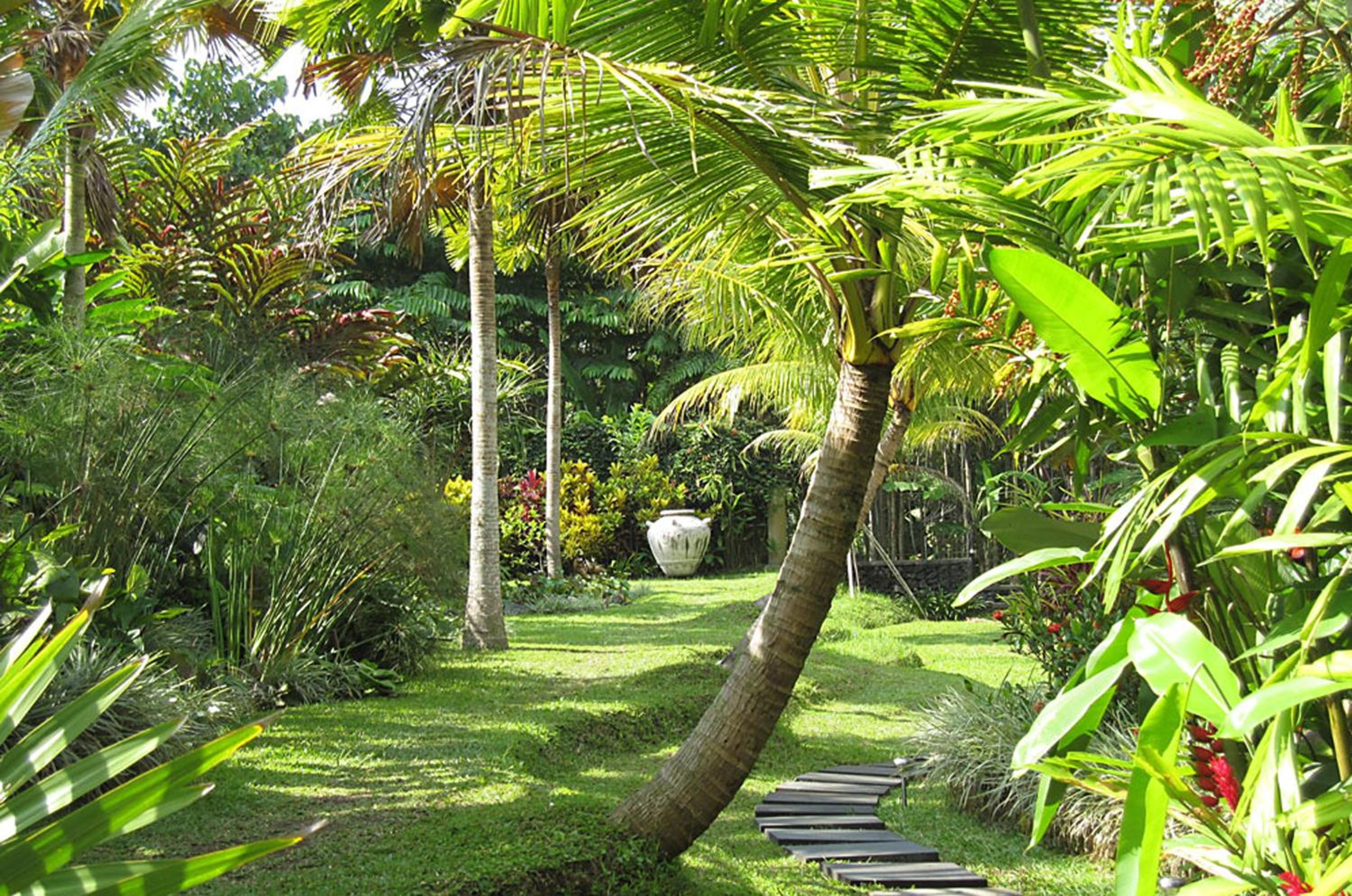 Jendela Di Bali Villa