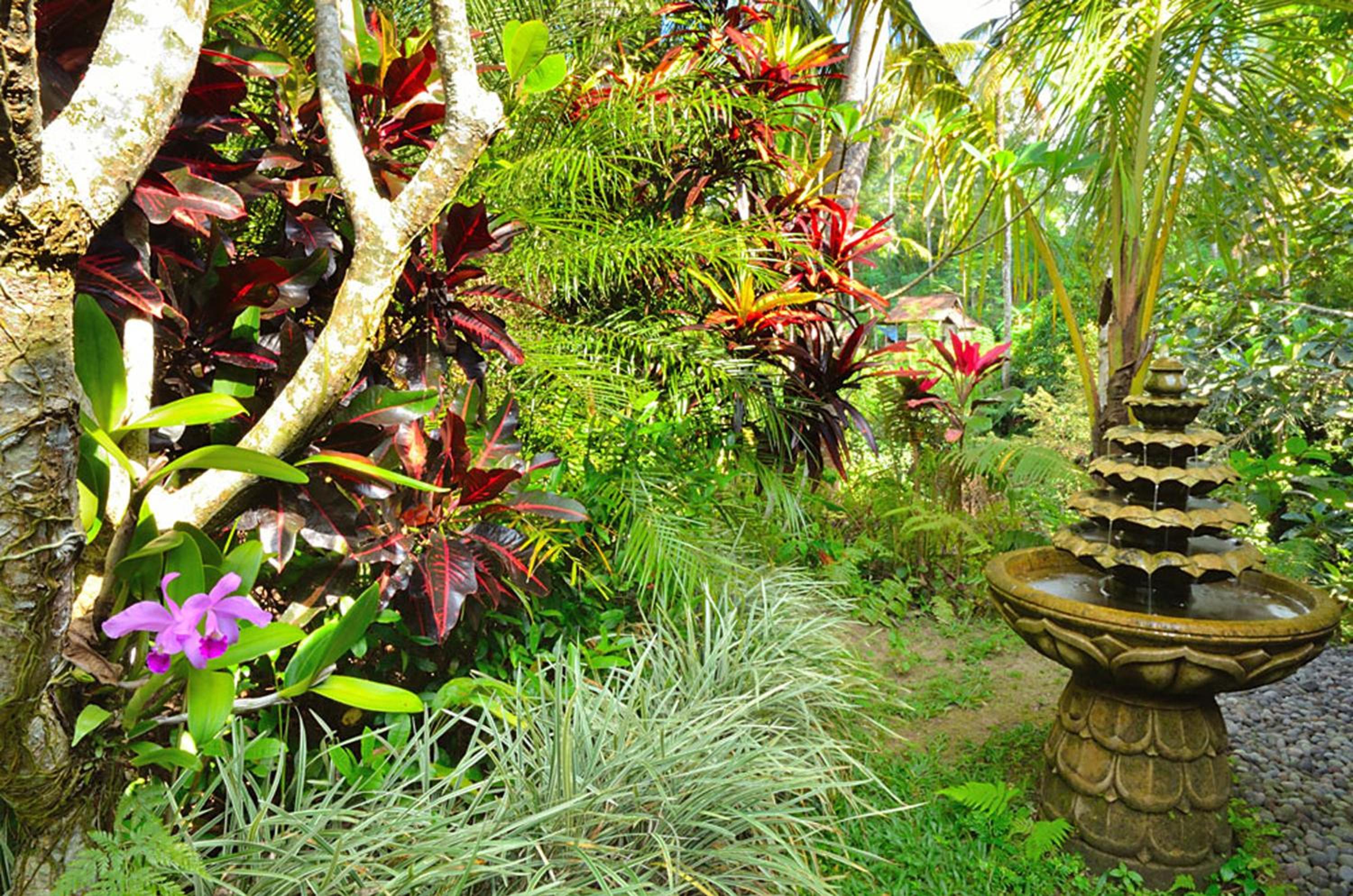 Jendela Di Bali Villa