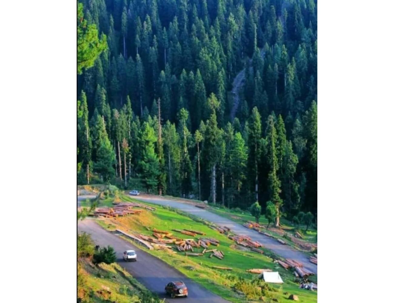 Shabir Group of Hotels, Kokernag