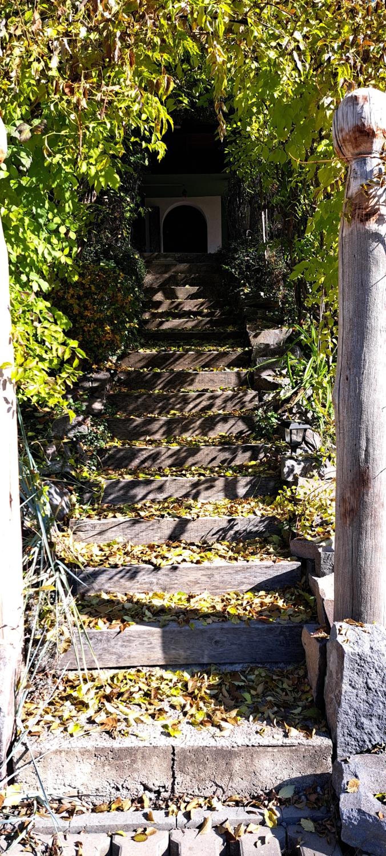 Photo 28