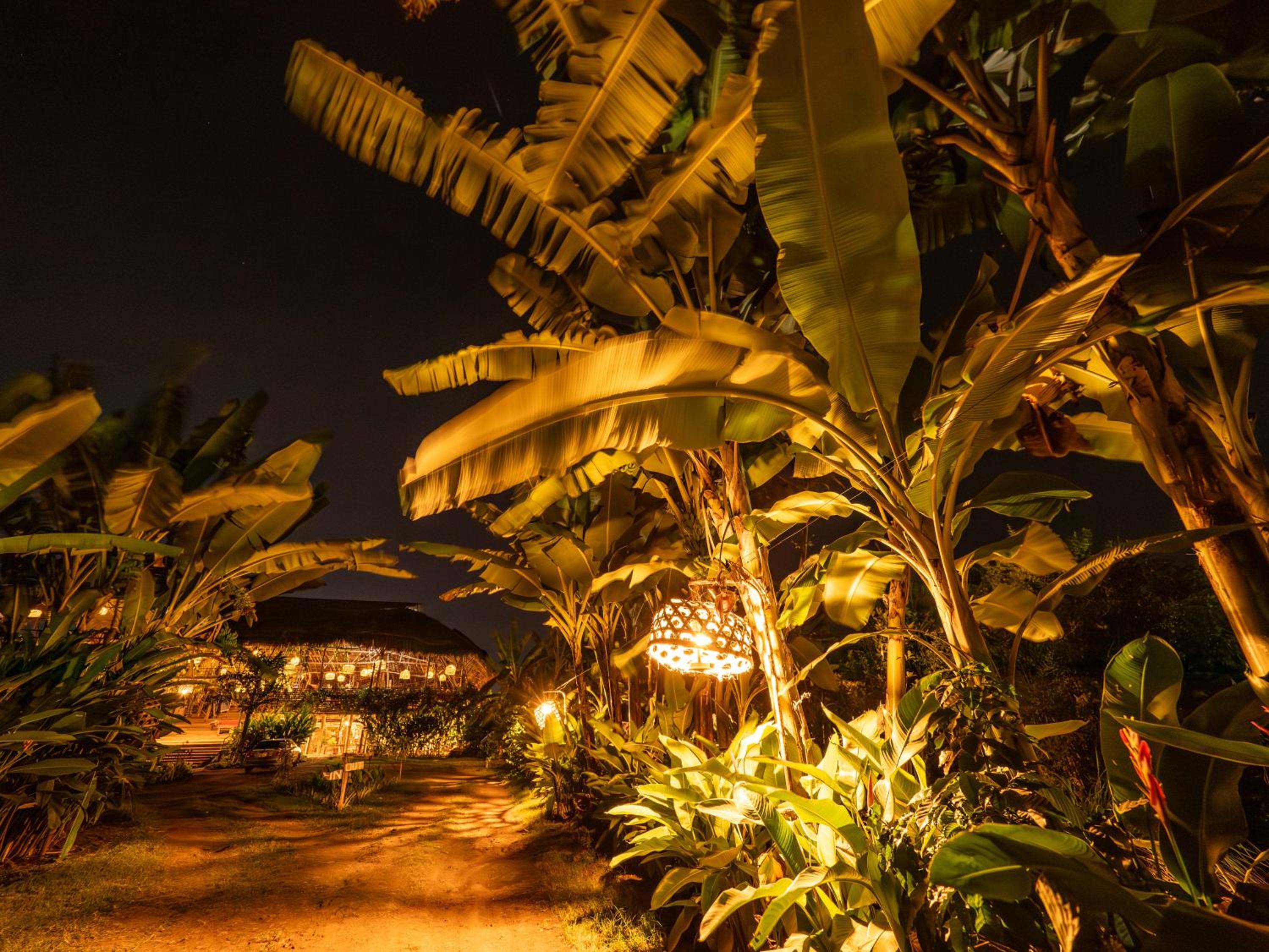 Mount Kilimanjaro 360 view Cottage view 3