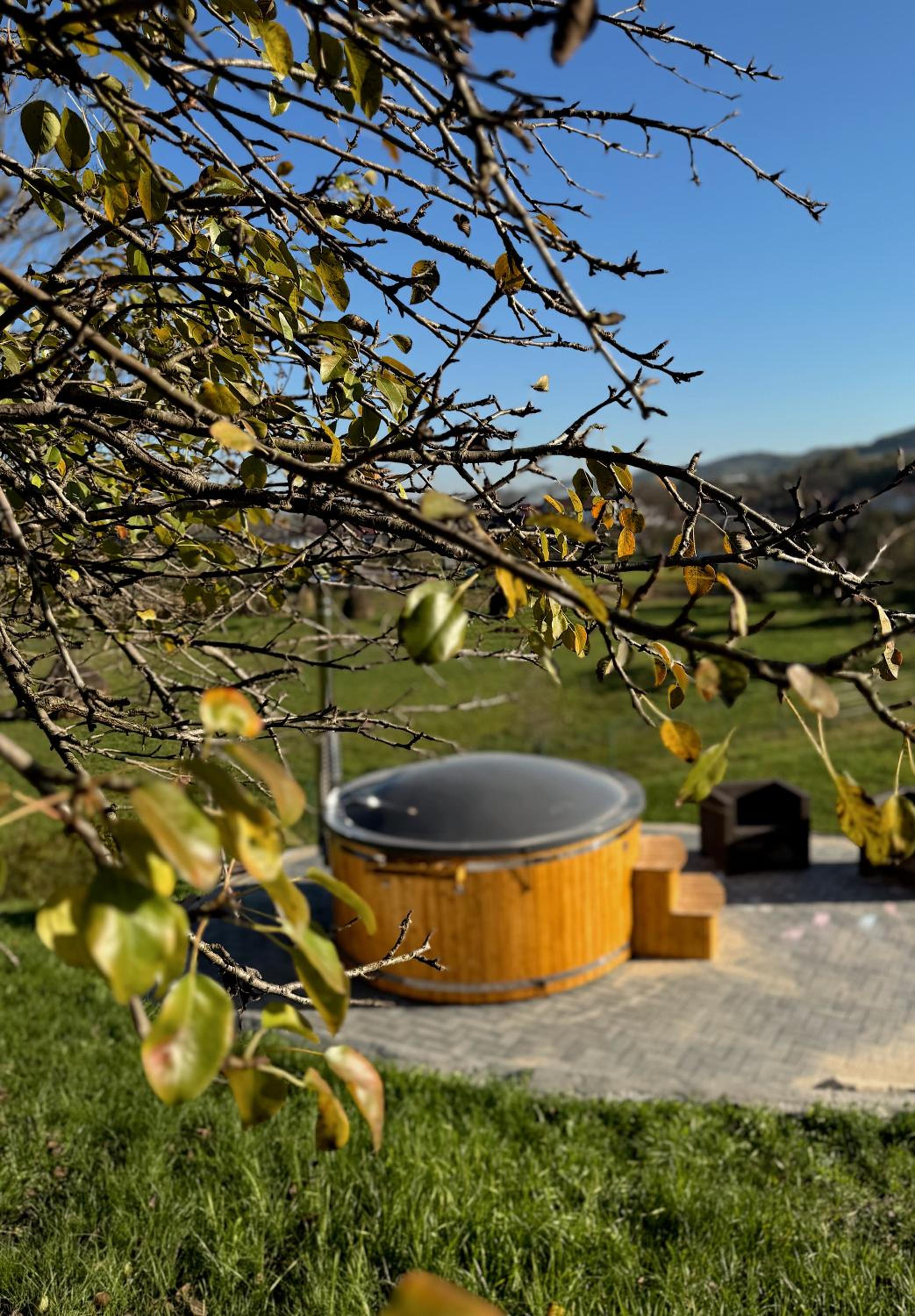 Casa Croitoru Maramureş view 2