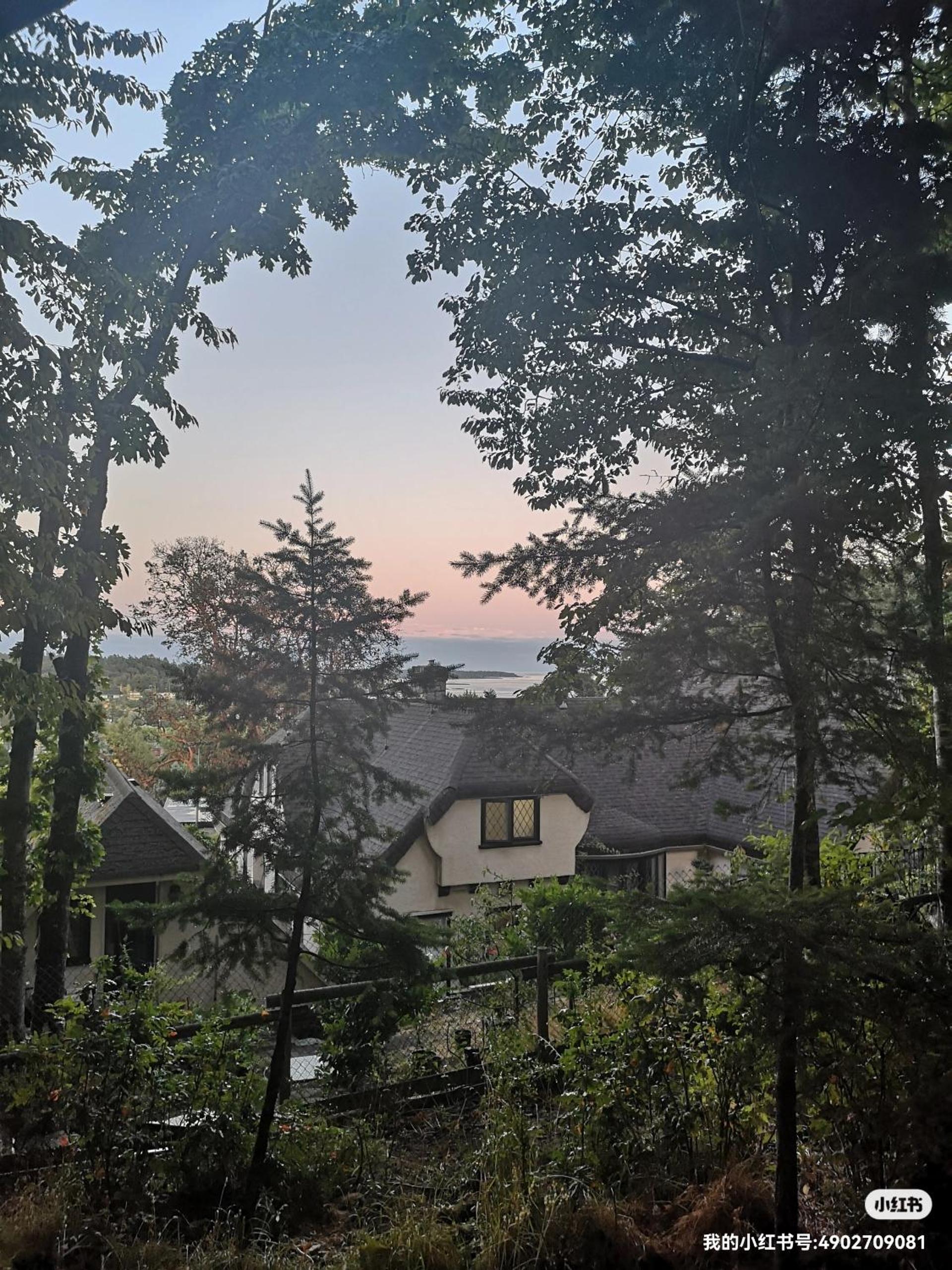 UVIC Ocean Peak house