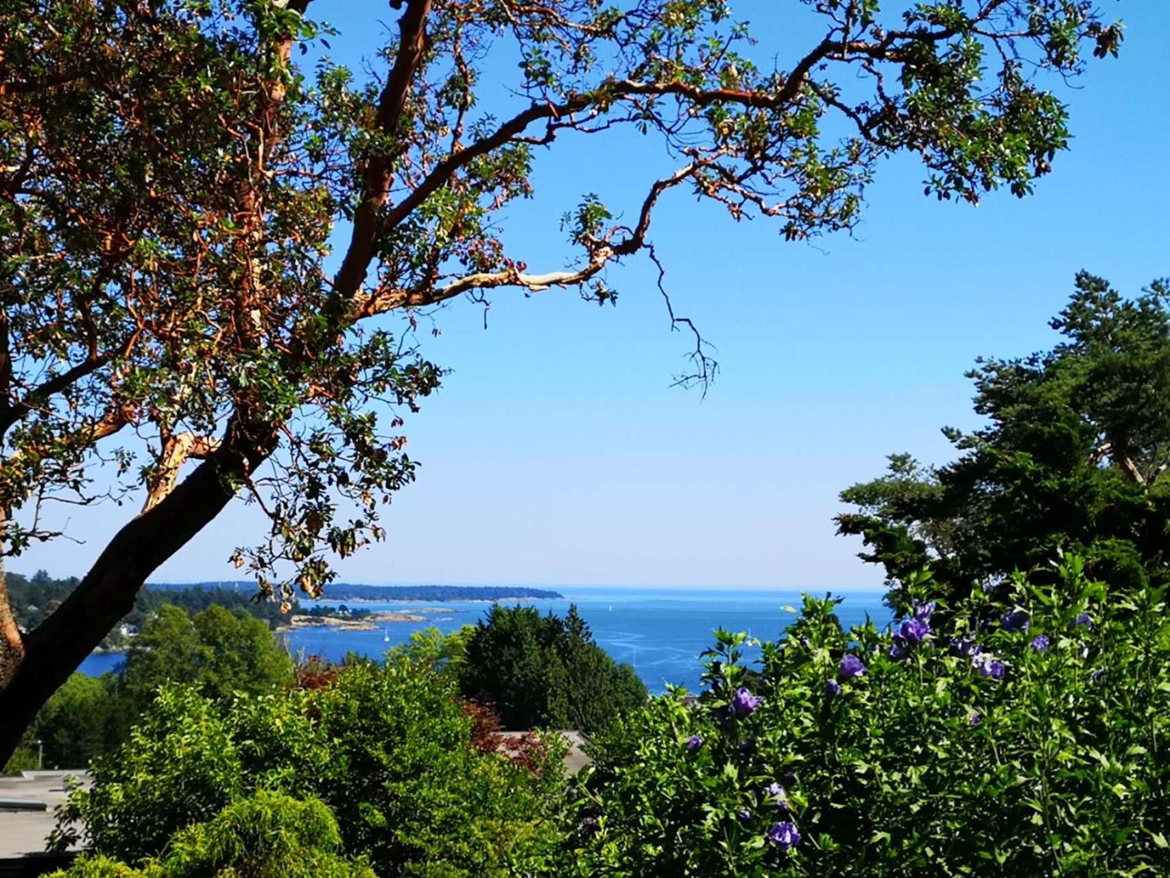 UVIC Ocean Peak house