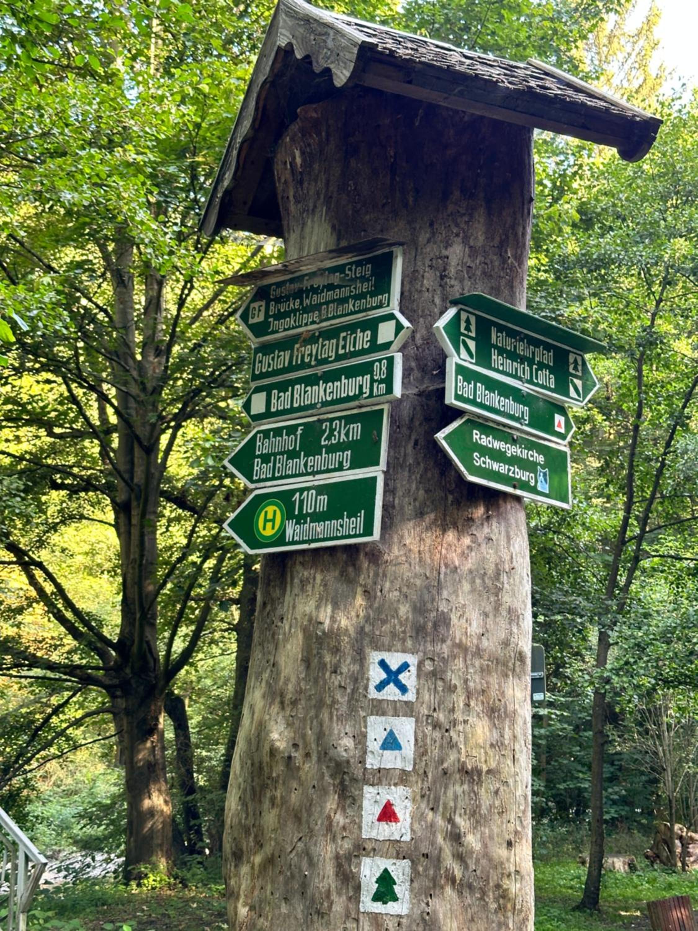 FeWo Burgblick