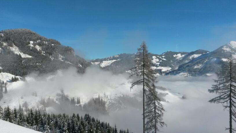 Haus Knapp FeWo Gastein