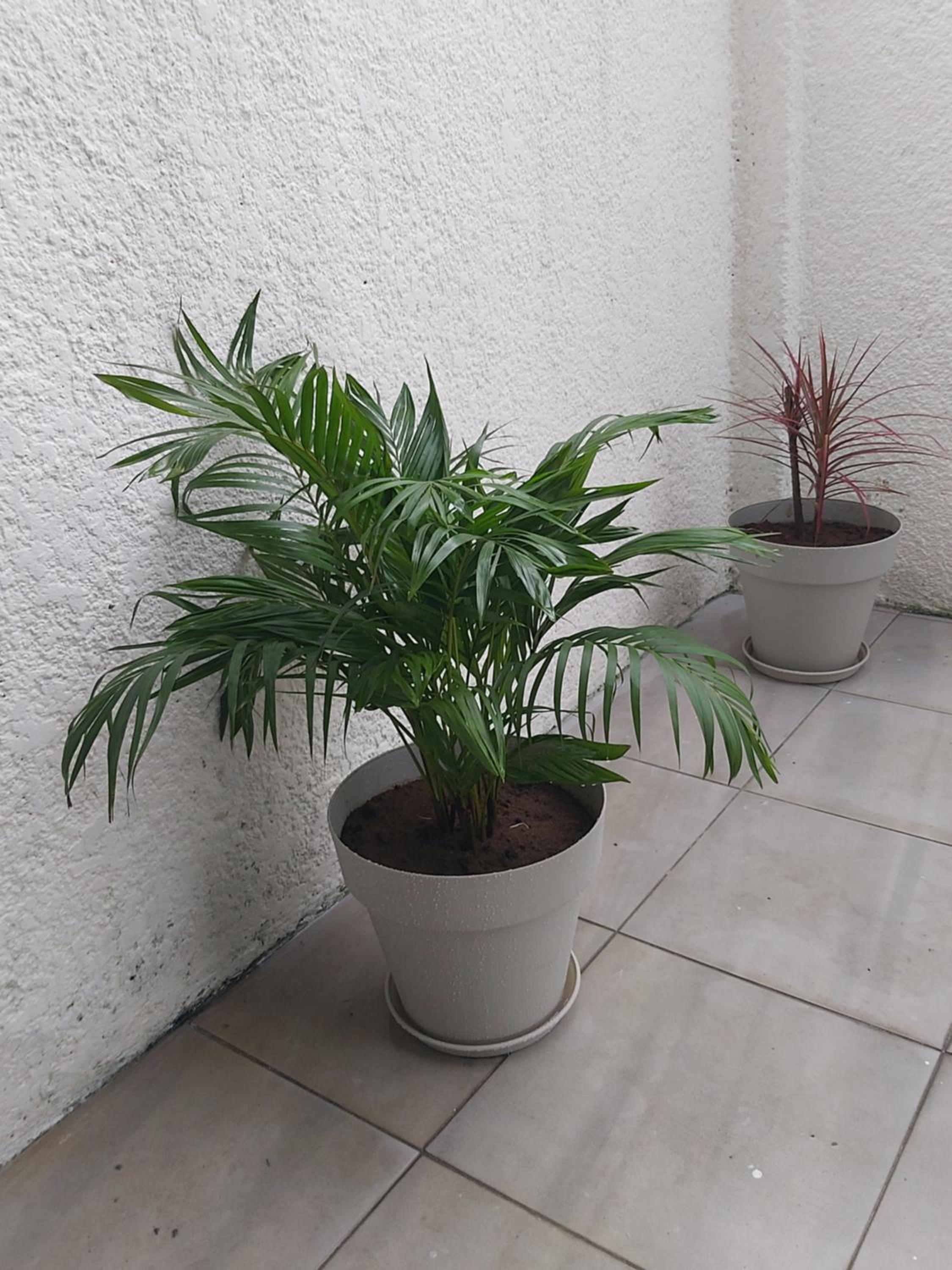 La renaissance d'Abidjan