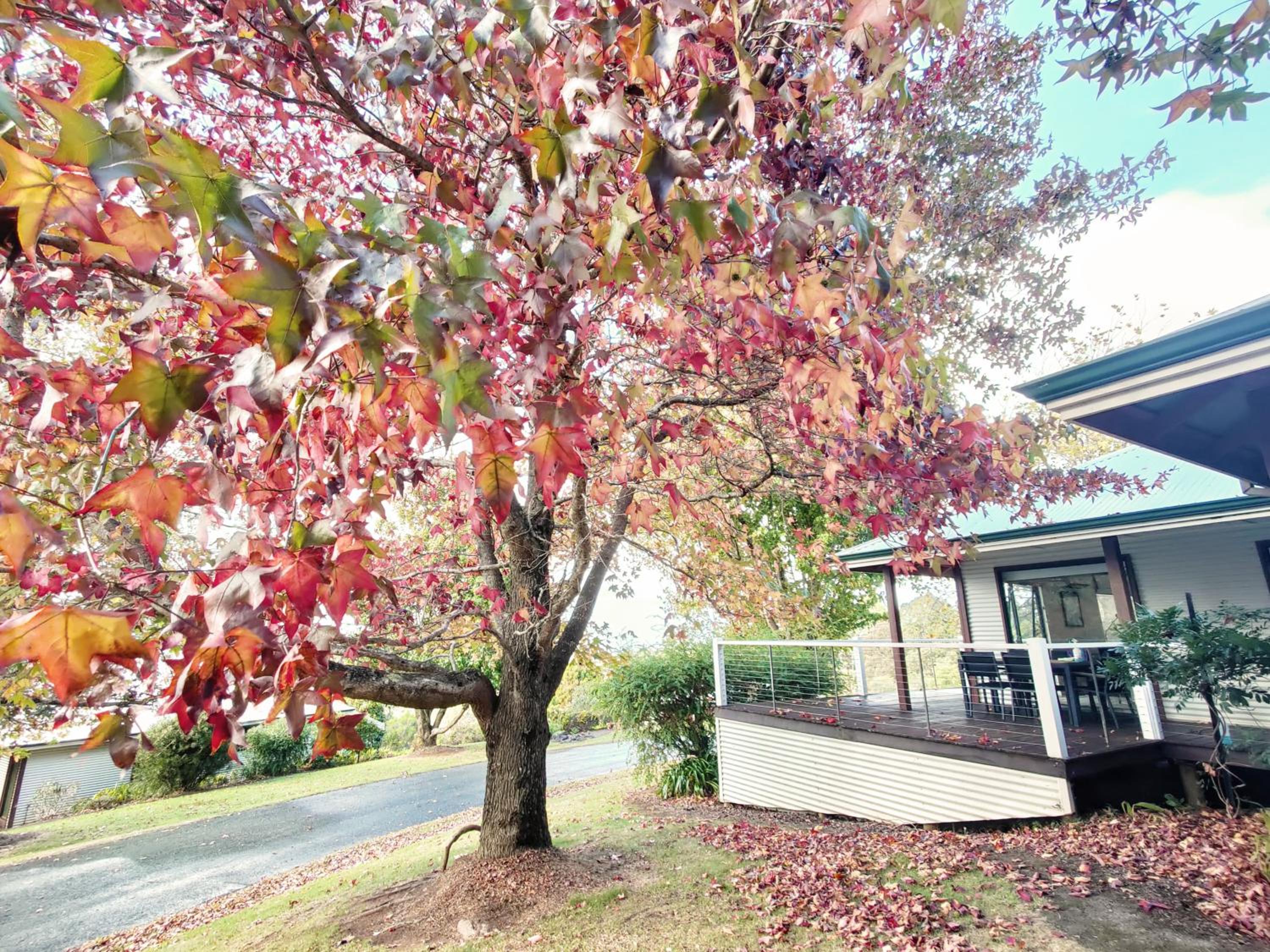 Karri Mia Chalets and Studios