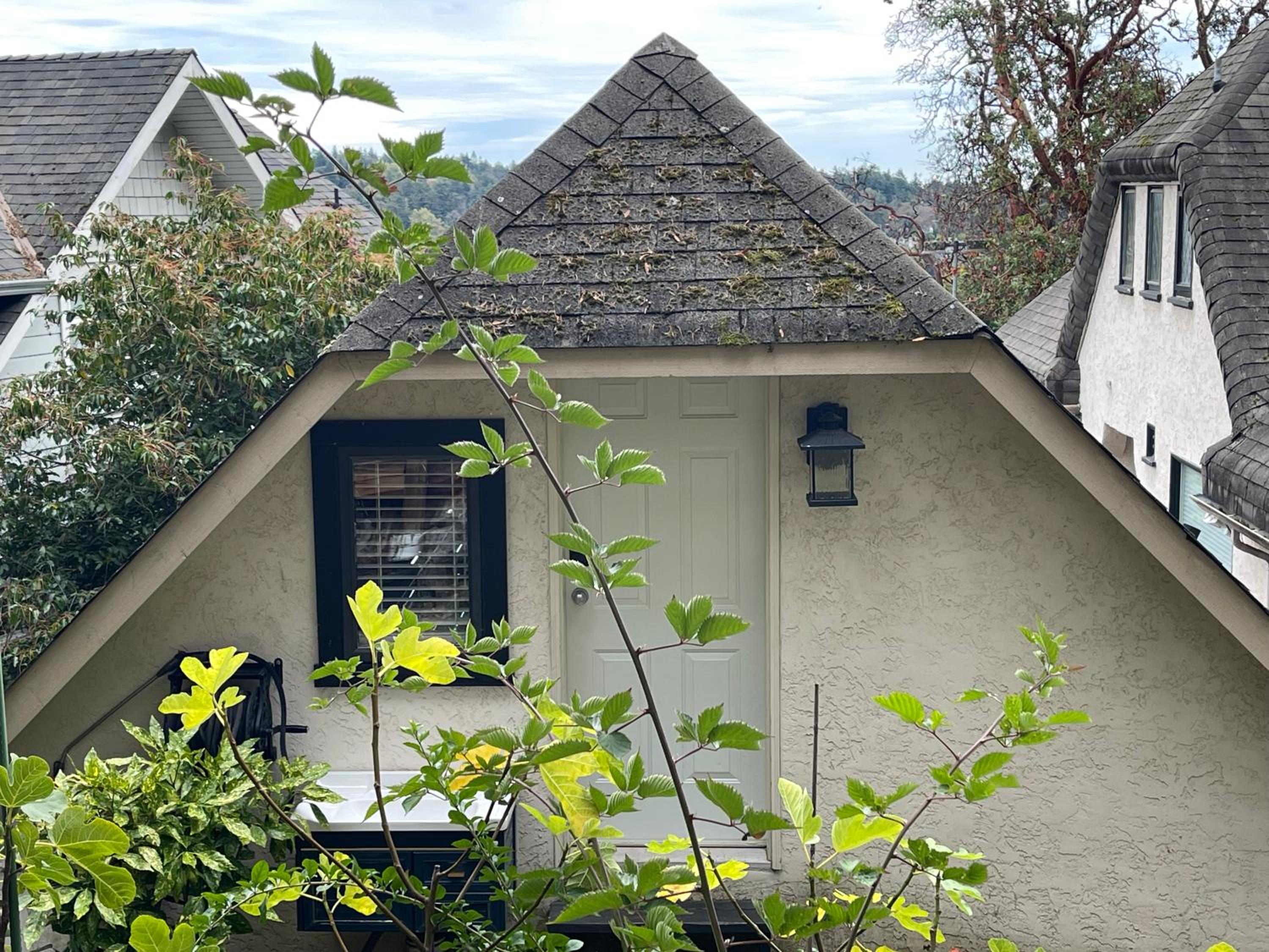 UVIC Ocean Peak house