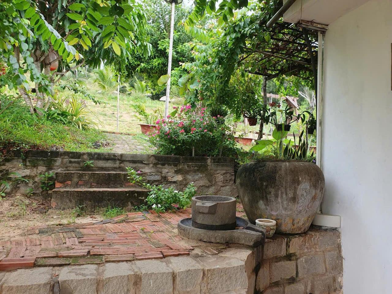 Photo 22