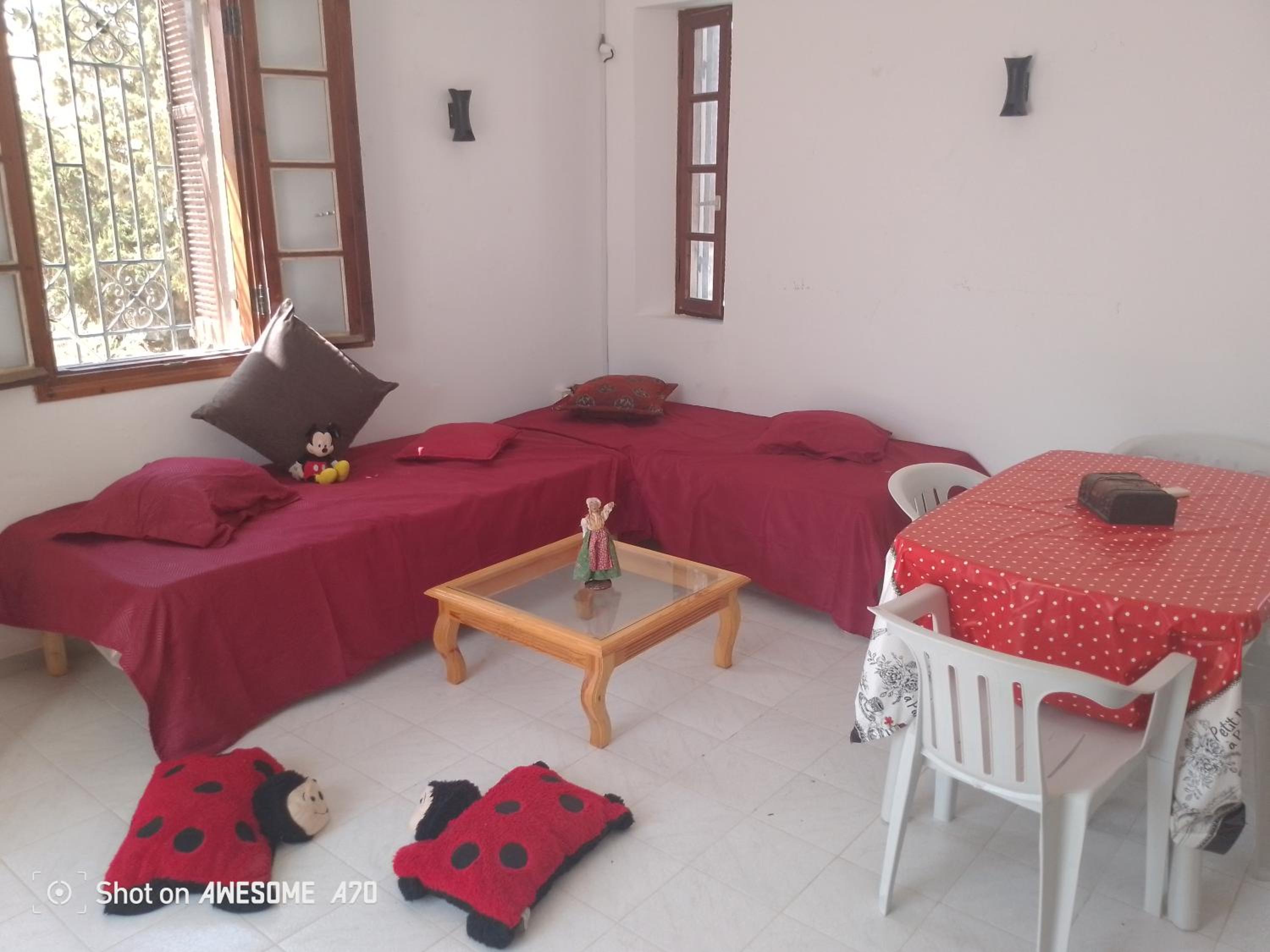 La rose Djerba