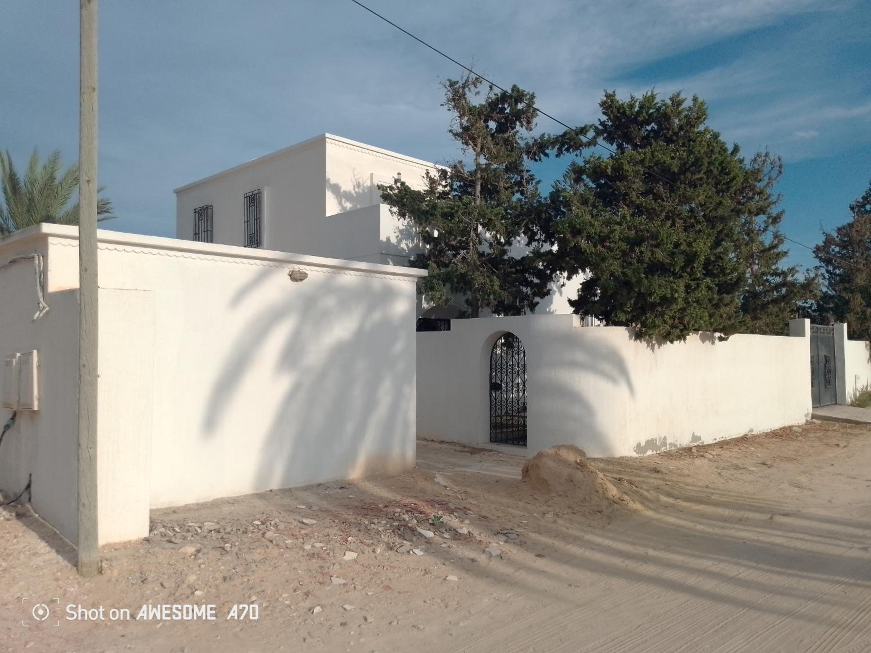 La rose Djerba