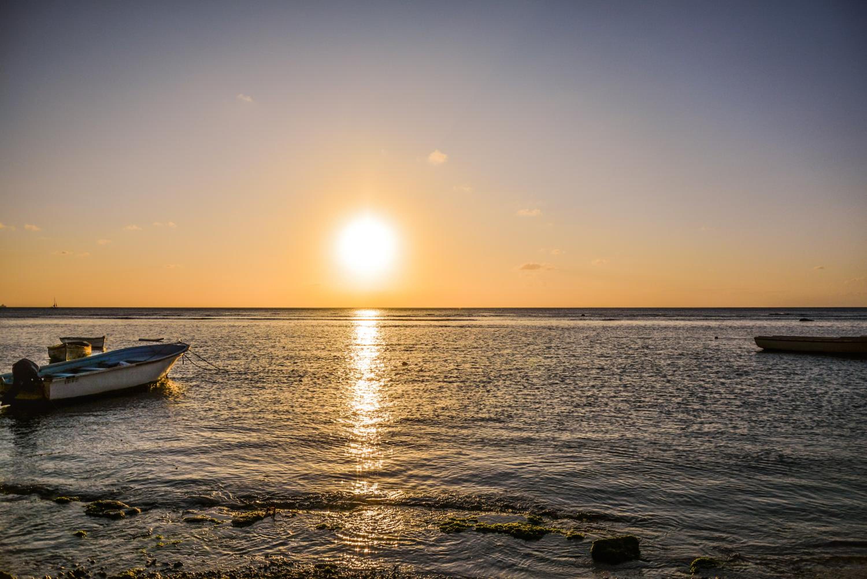 La Margarita