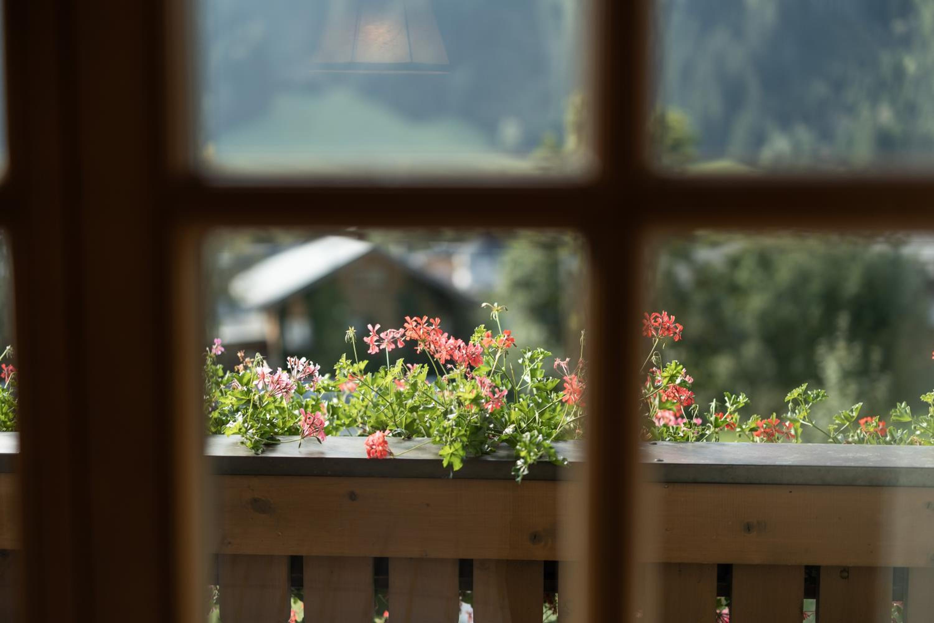 Gästehaus Vorderegger