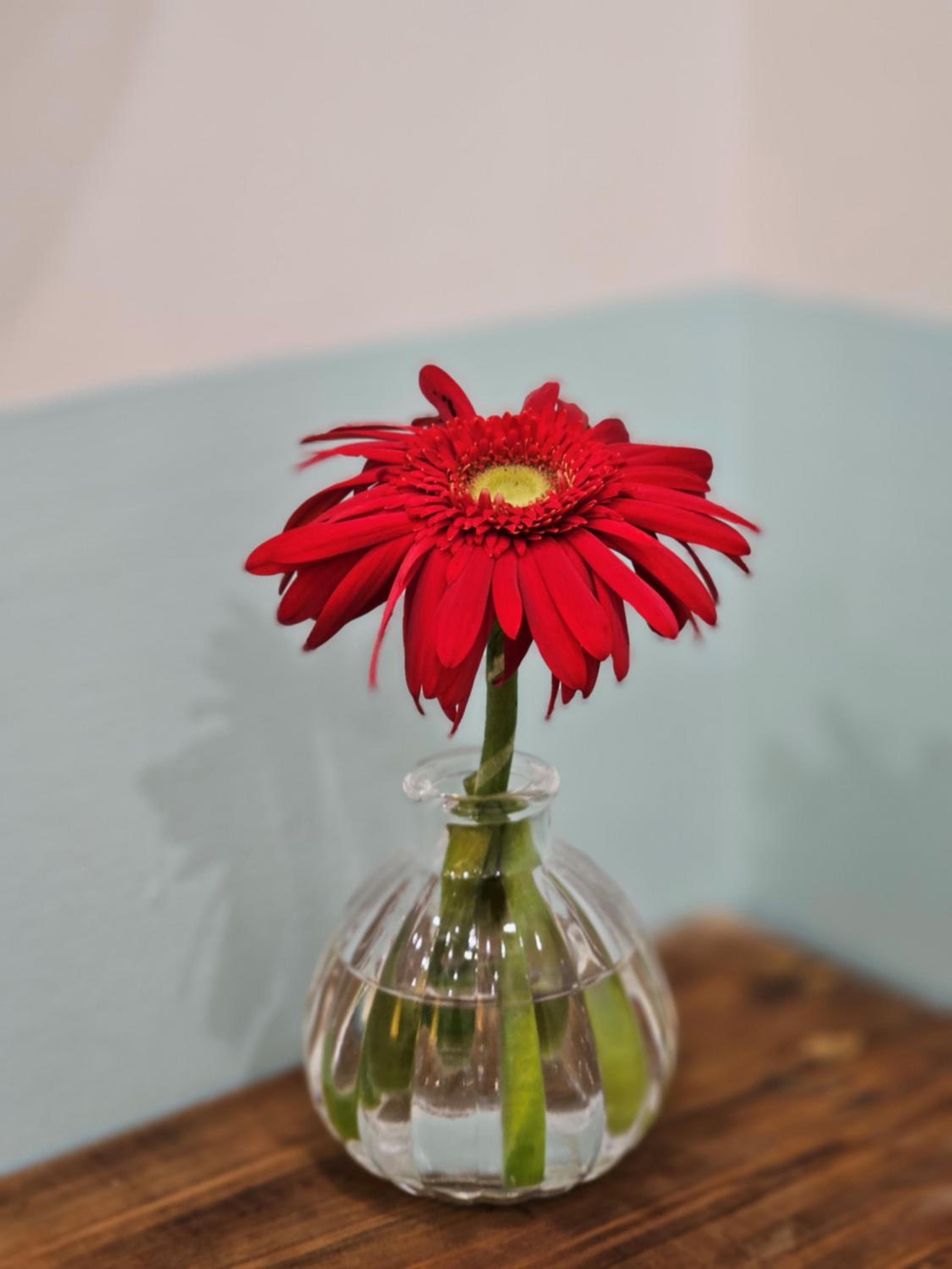 Photo 43