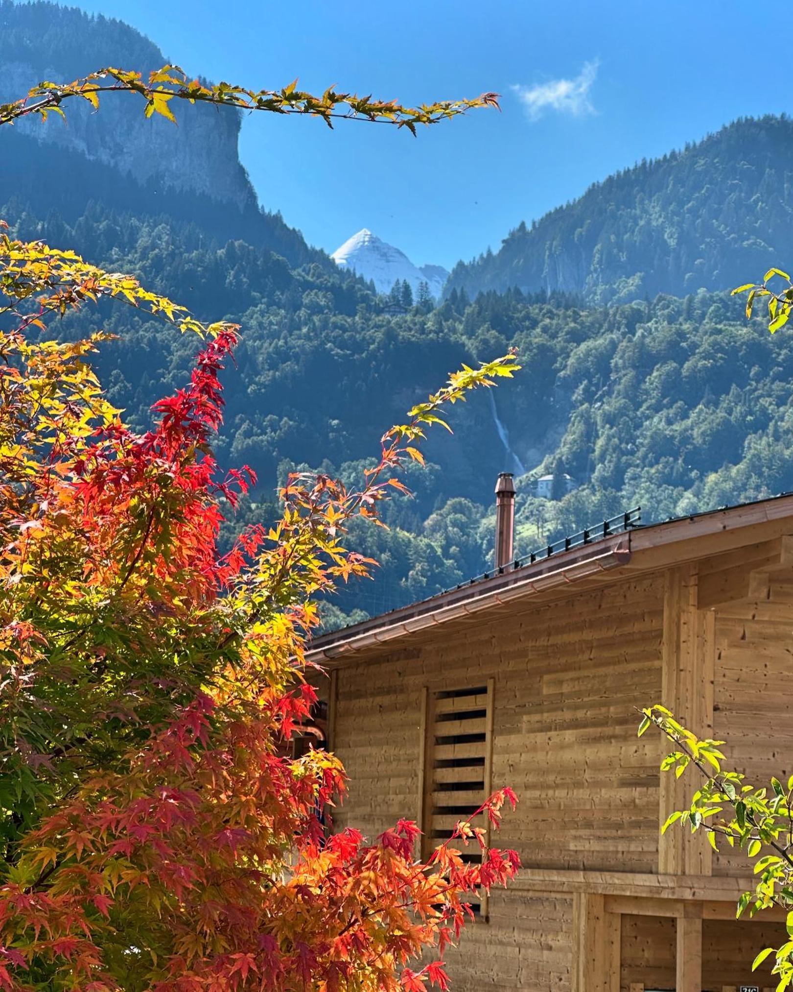 My Chalet