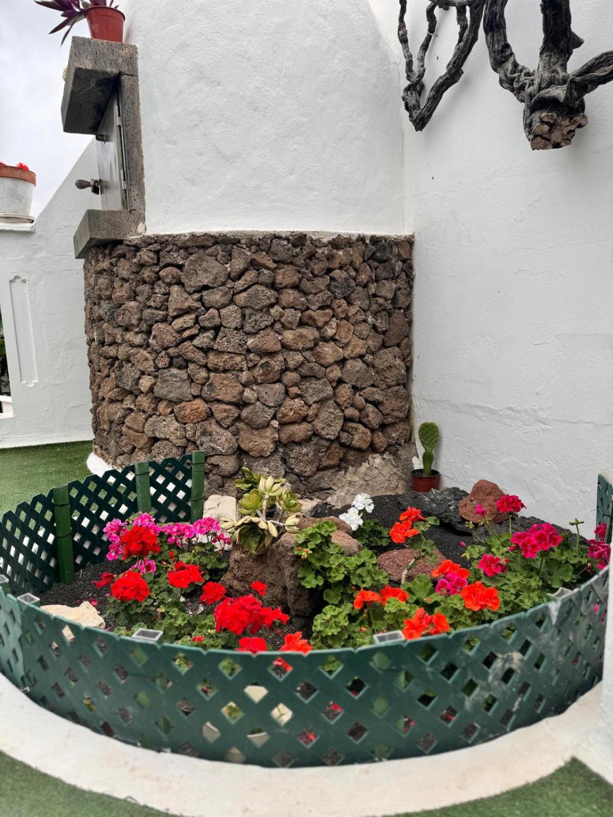 Casa Tajinaste