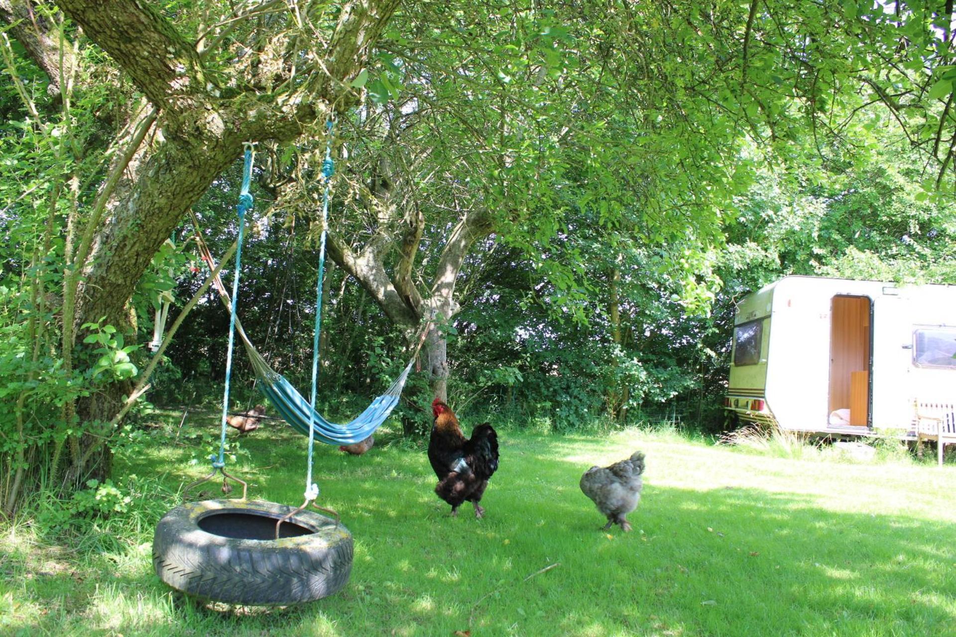 Sejersminde Bed and Breakfast