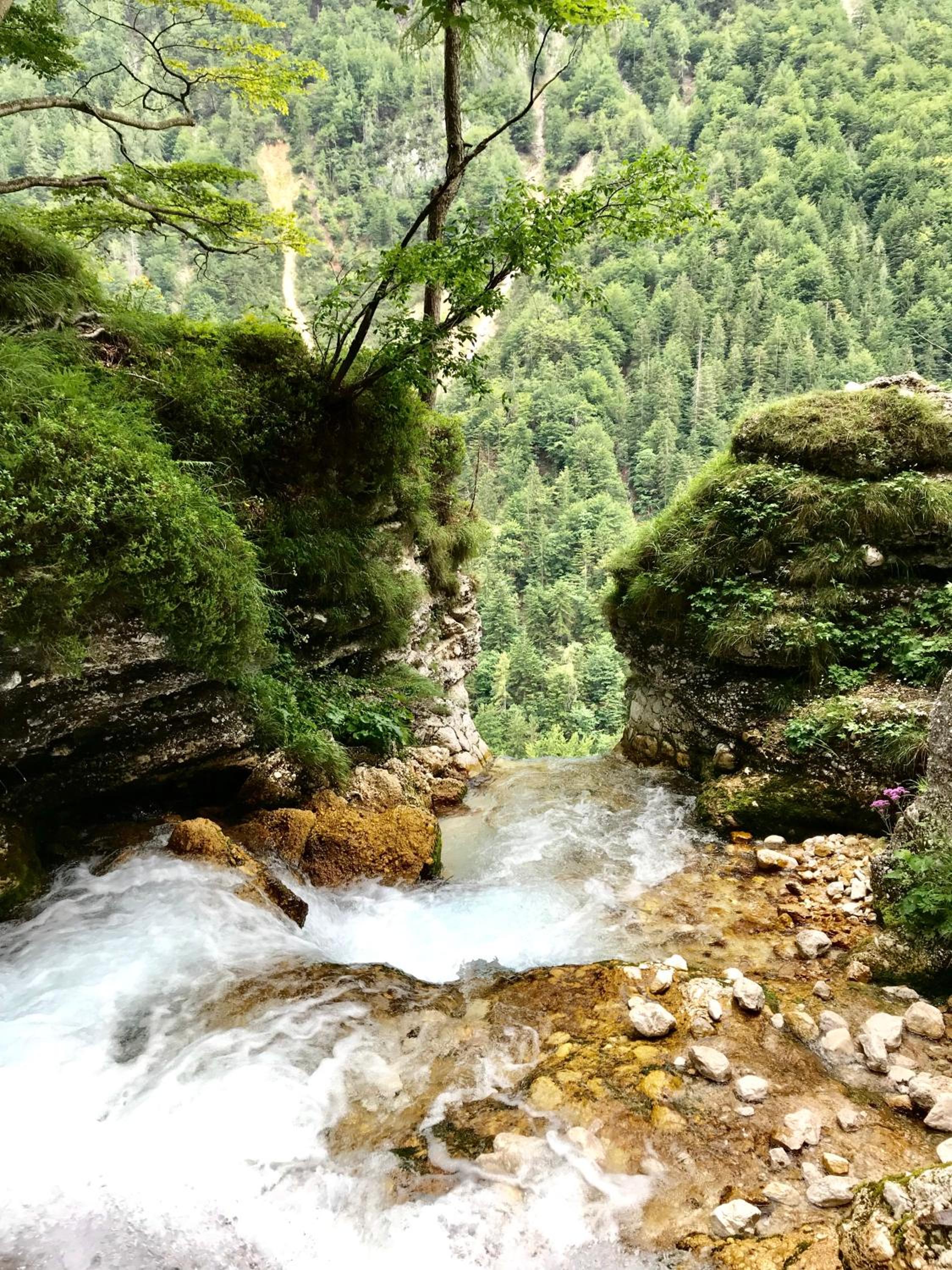 Photo 44