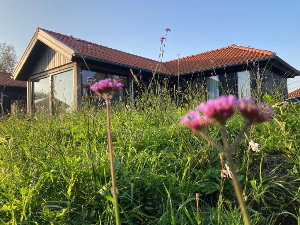 4-person chalet Albatros by the water with parking space view 4