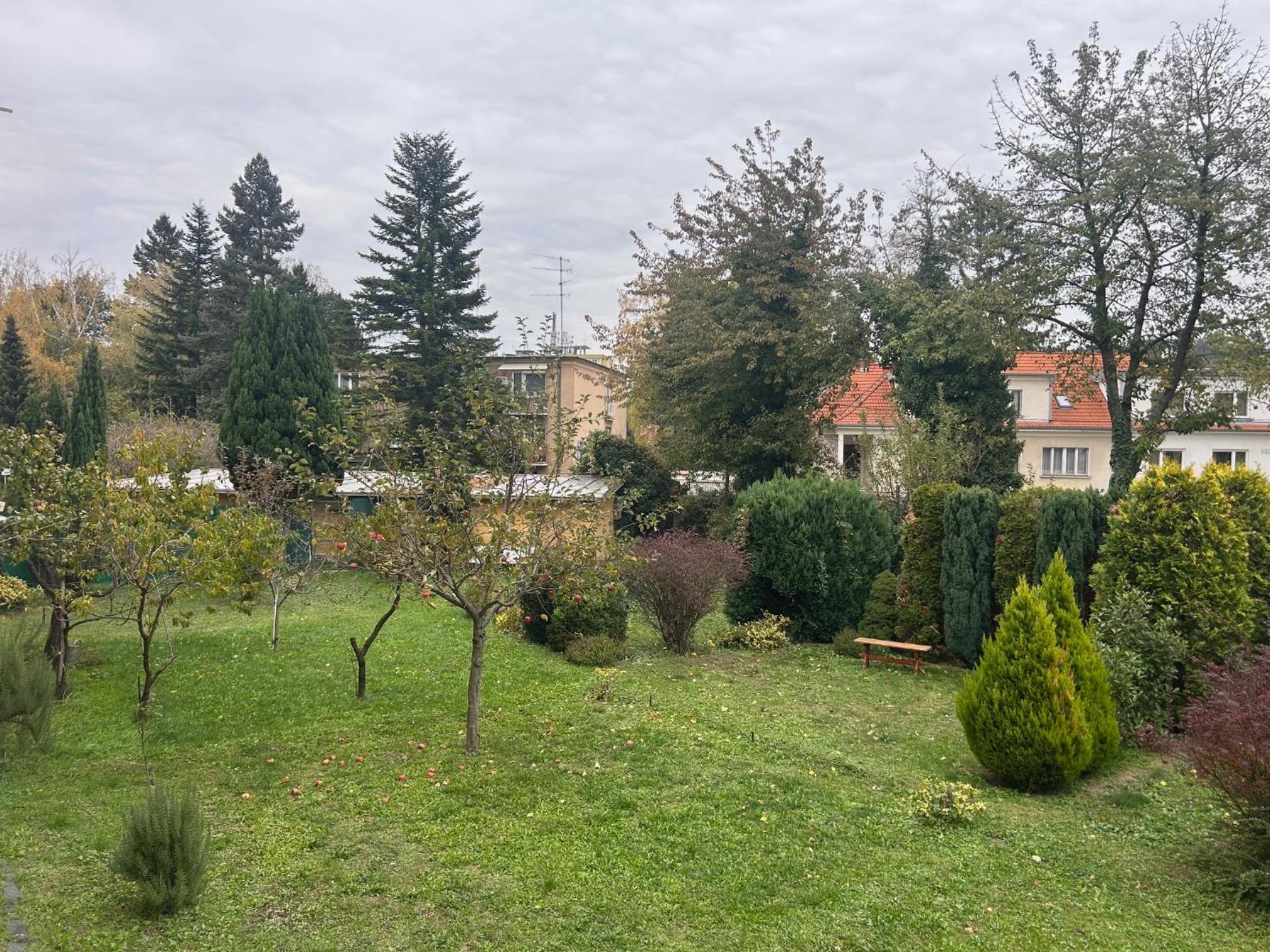 Photo 28
