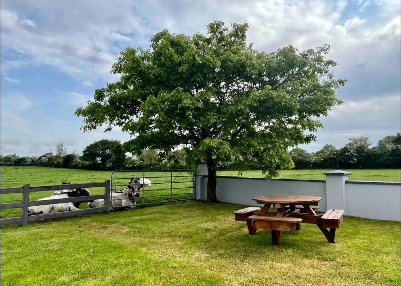 2 Bed Flat - Sleeps 4 - Garden - Parking - Wifi view 4