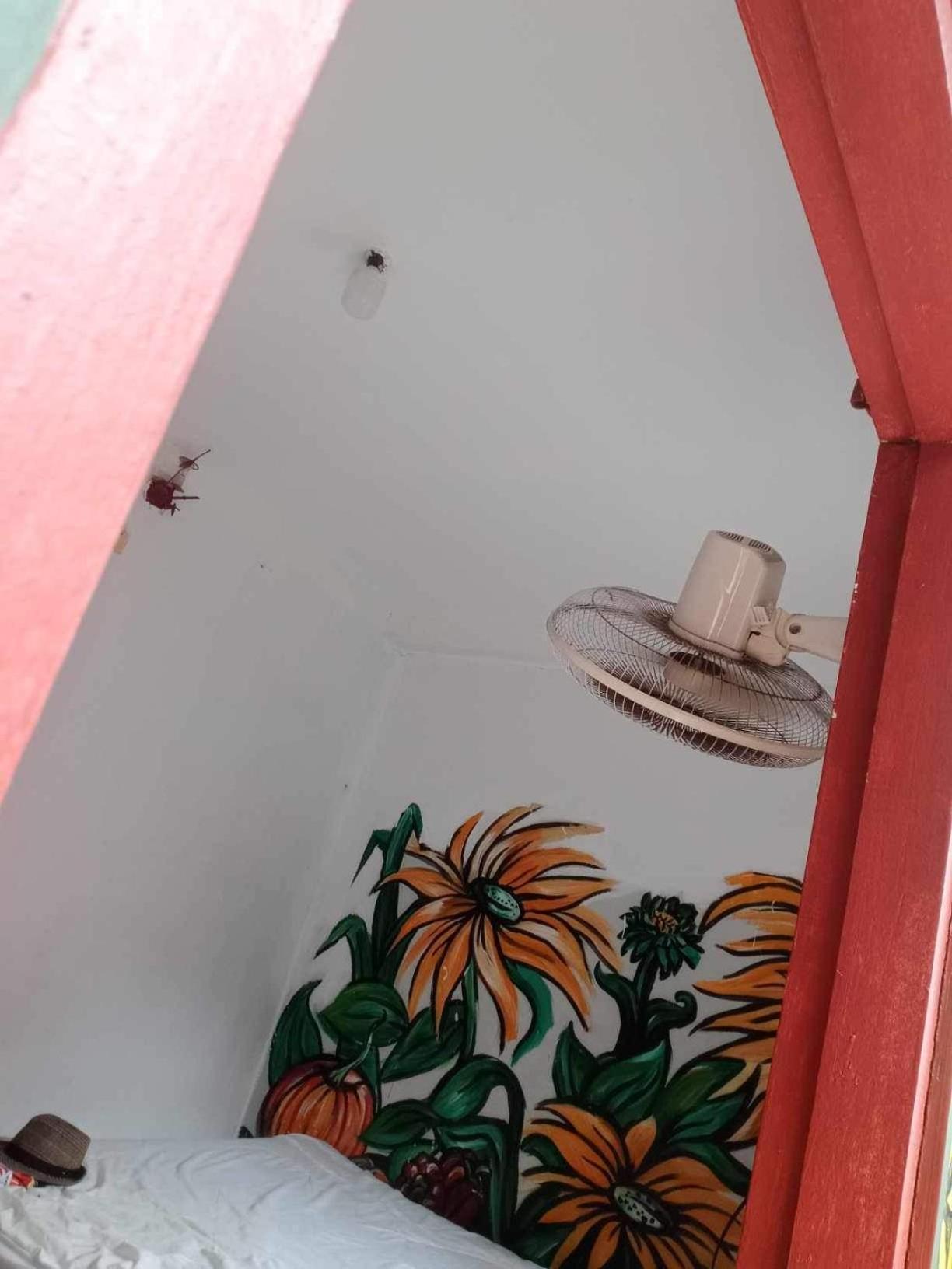 Photo 43
