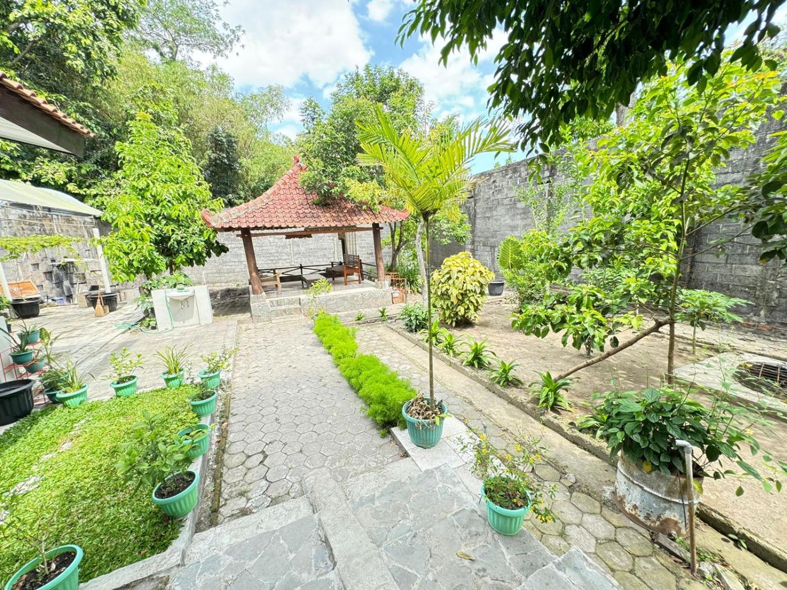Rumah Organik Homestay Jogja view 3